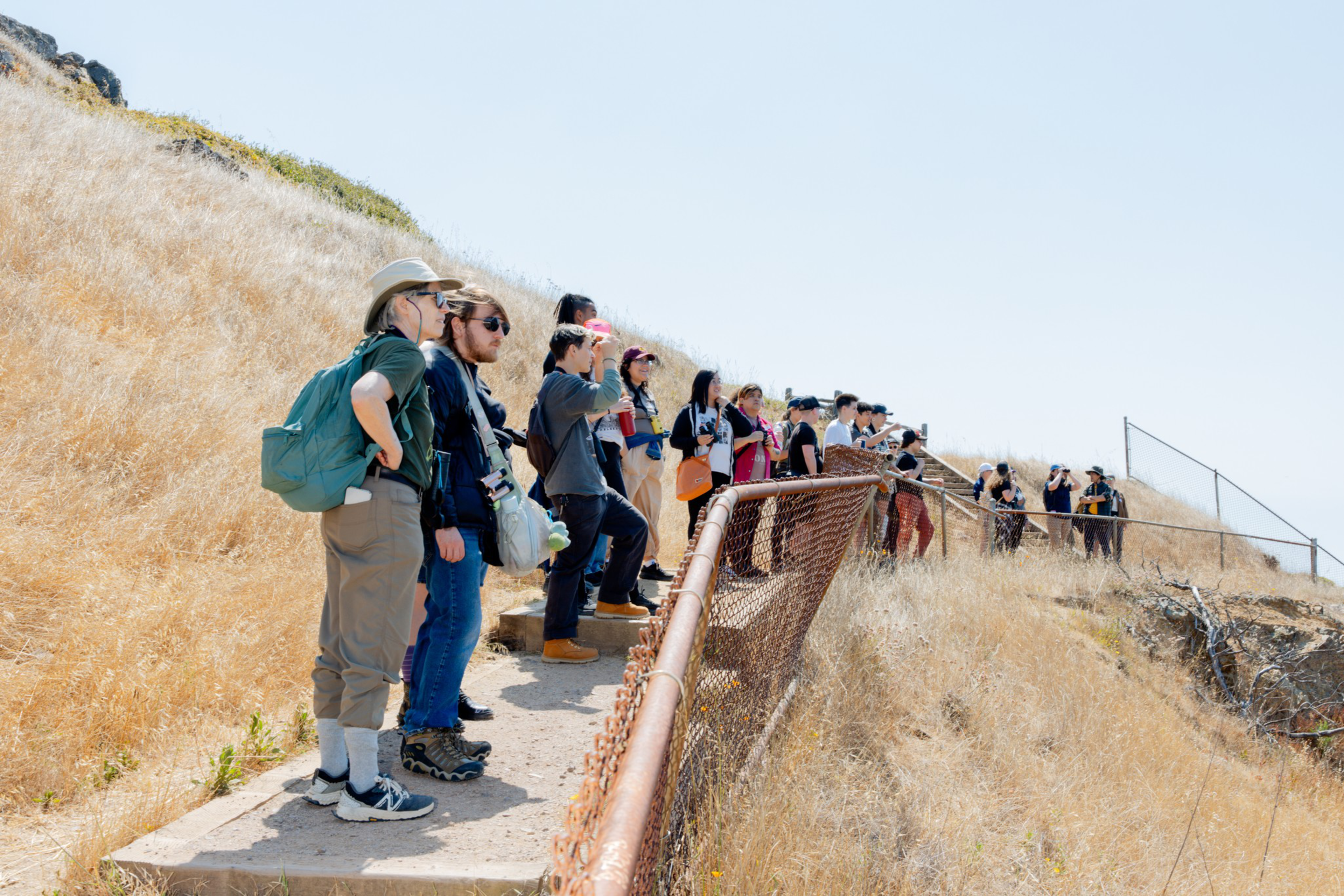 A group of people stand on a dry grassy hill, looking out over a rusted metal railing. They appear to be observing or studying something in the distance.