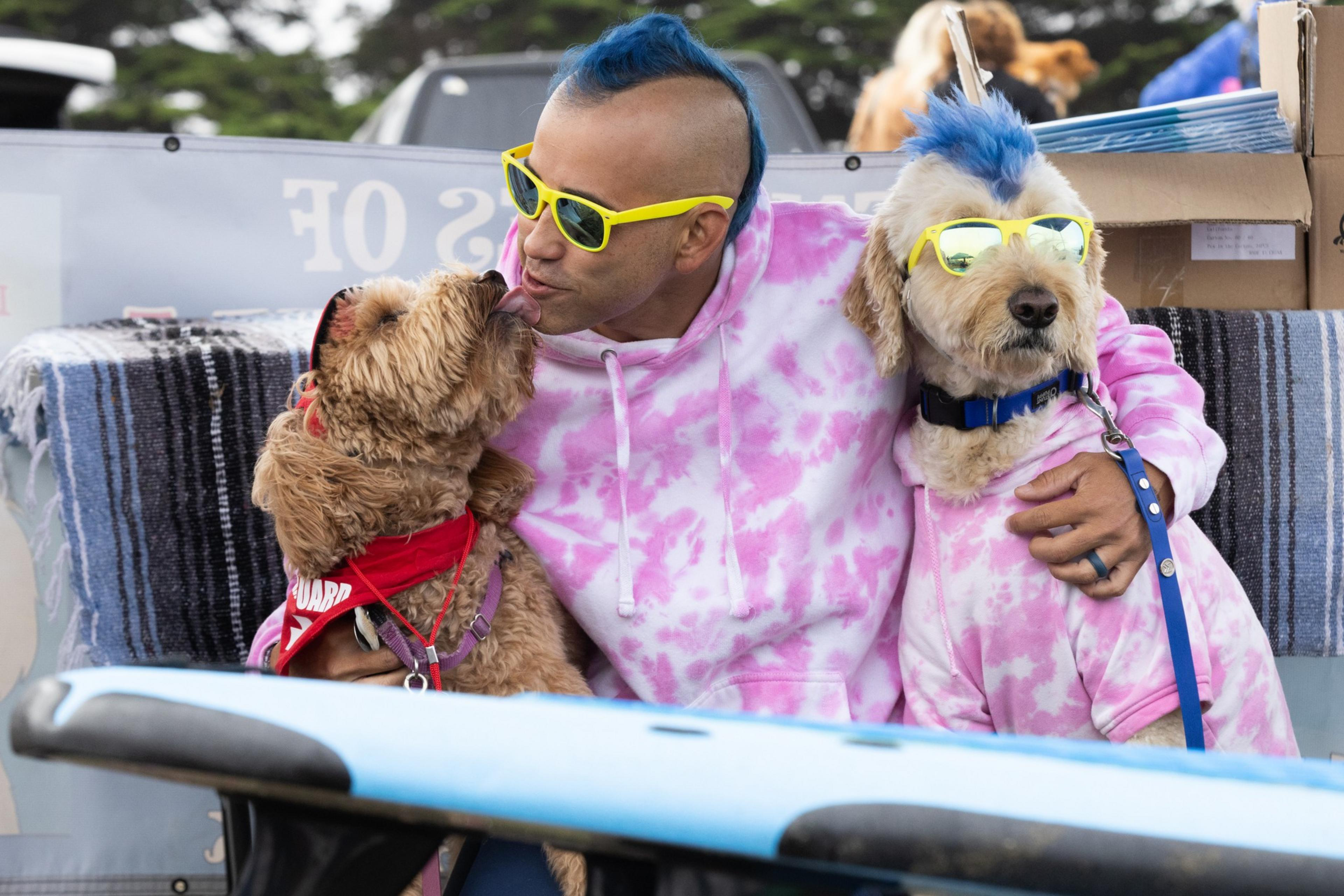 A person with a blue mohawk and yellow sunglasses is wearing a pink tie-dye hoodie and is playfully interacting with two dogs, dressed similarly, with blue mohawks.