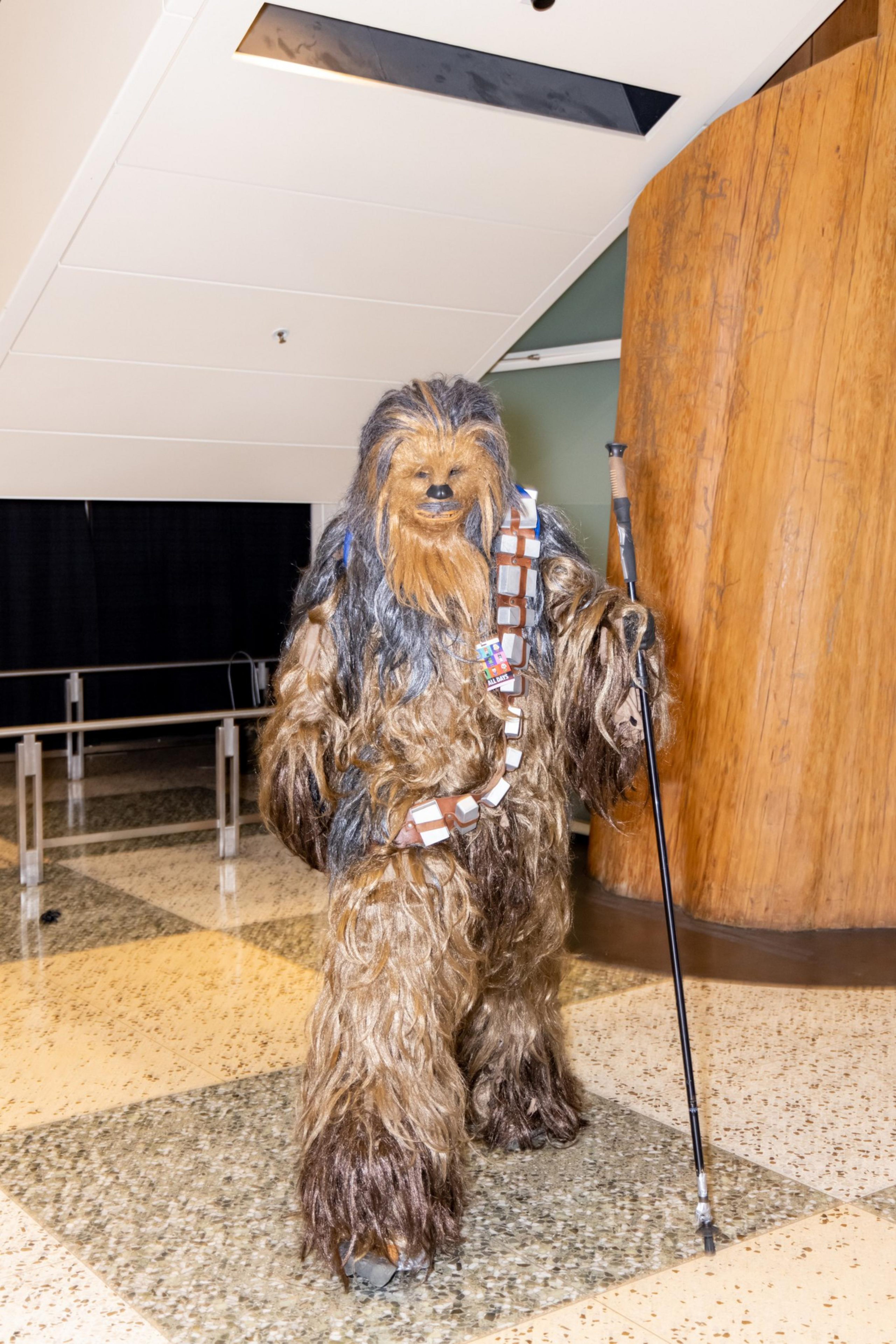 A person in a detailed Chewbacca costume from Star Wars stands indoors, holding a walking stick, near a large wooden column.