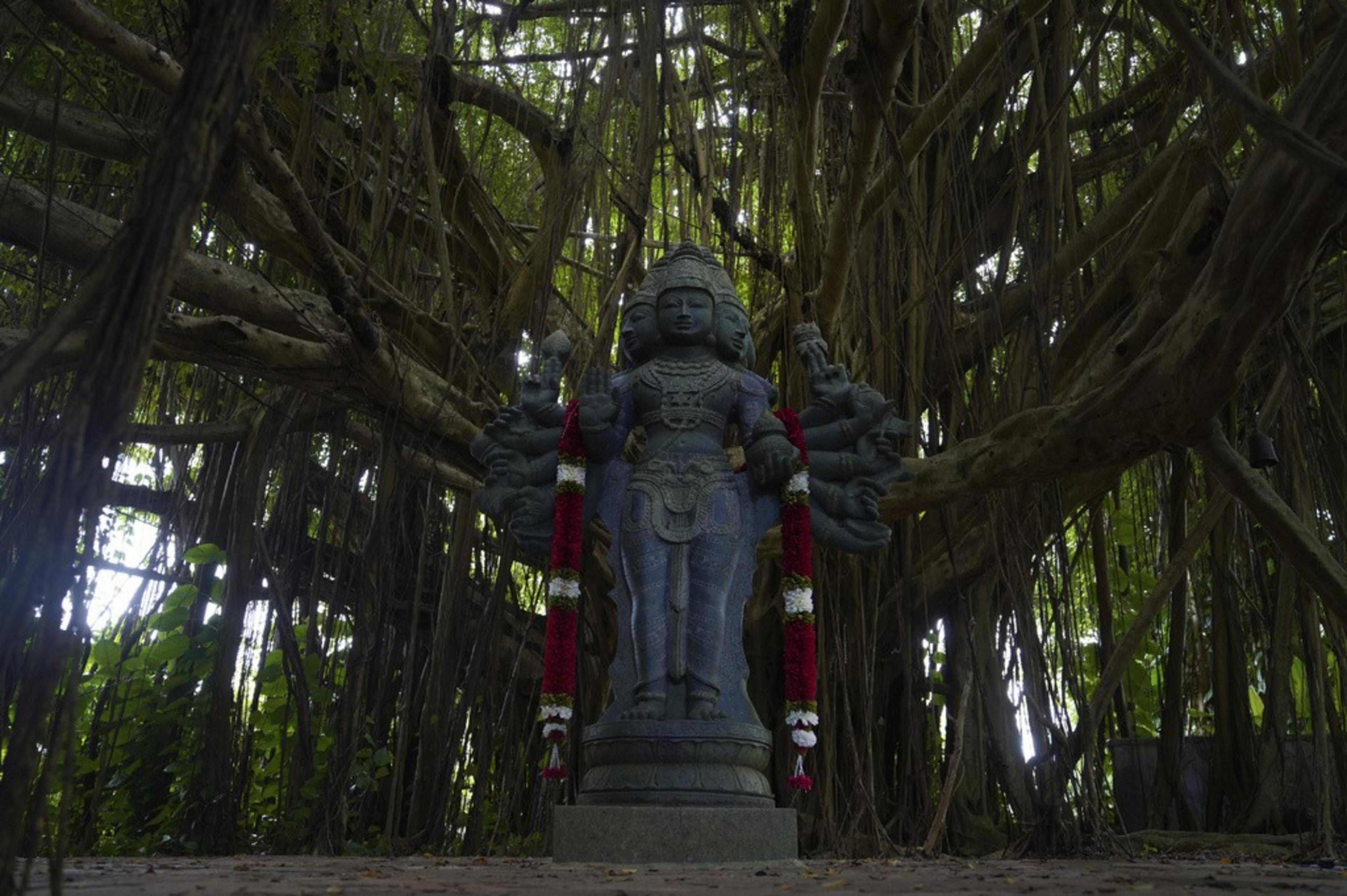 A stone sculpture is surrounded by thick tropical trees. 