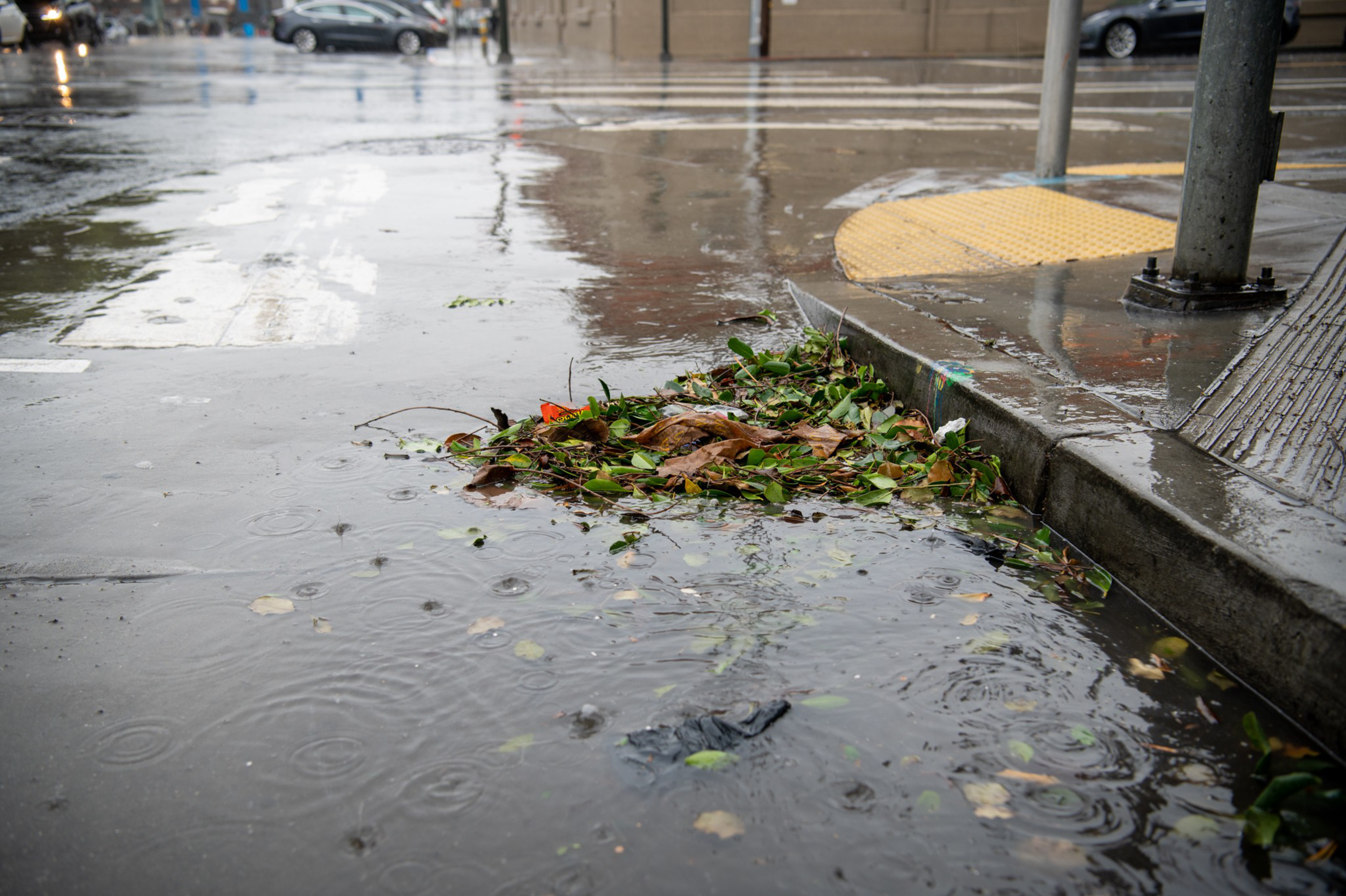 Rainwater floods a city street corner, pooling around a pile of wet leaves blocked at the curb by a storm drain.