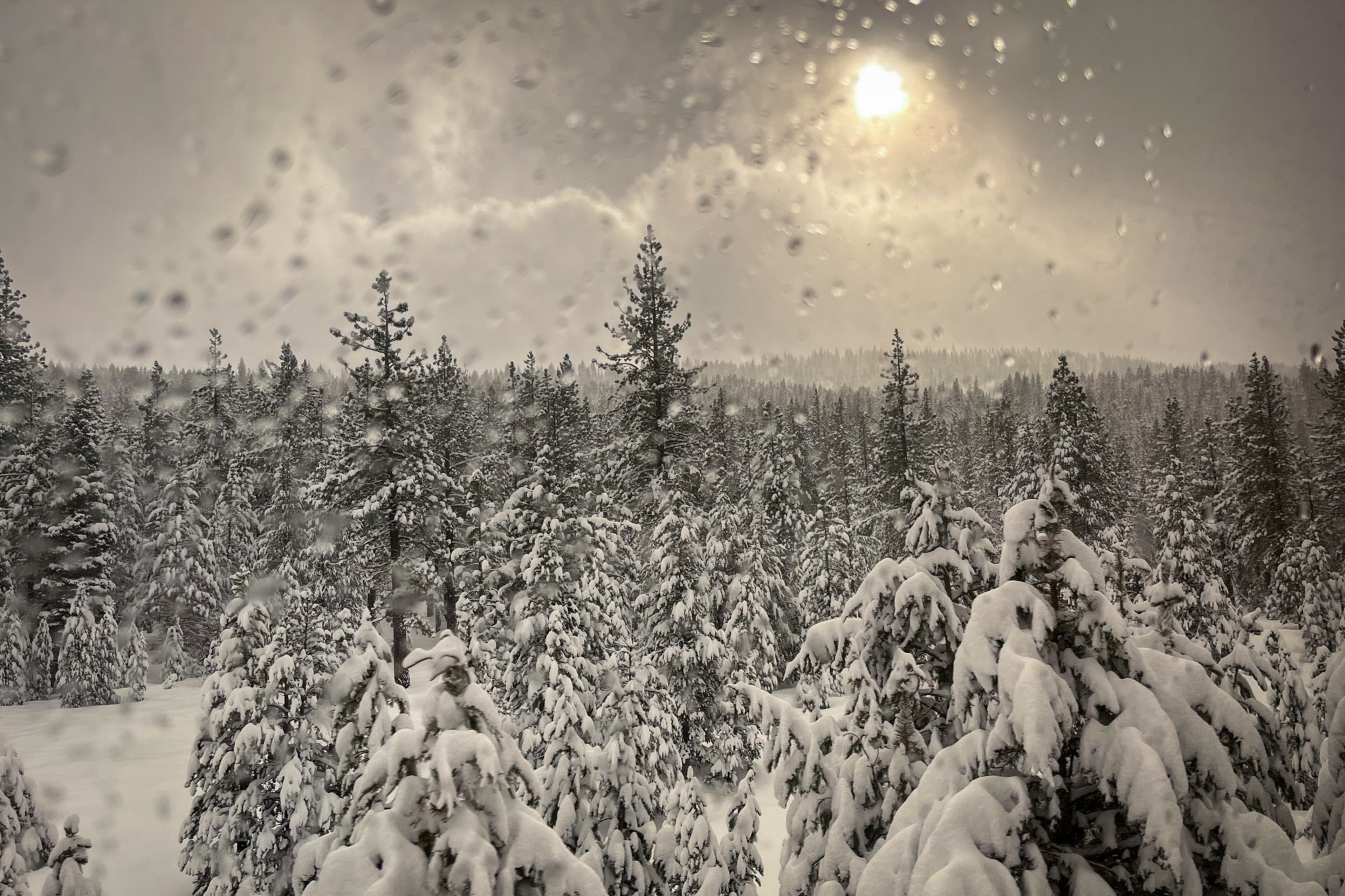 Snow-covered pine trees stretch into the distance under a cloudy sky with a bright sun, while raindrops or snowflakes are visible on a nearby window.