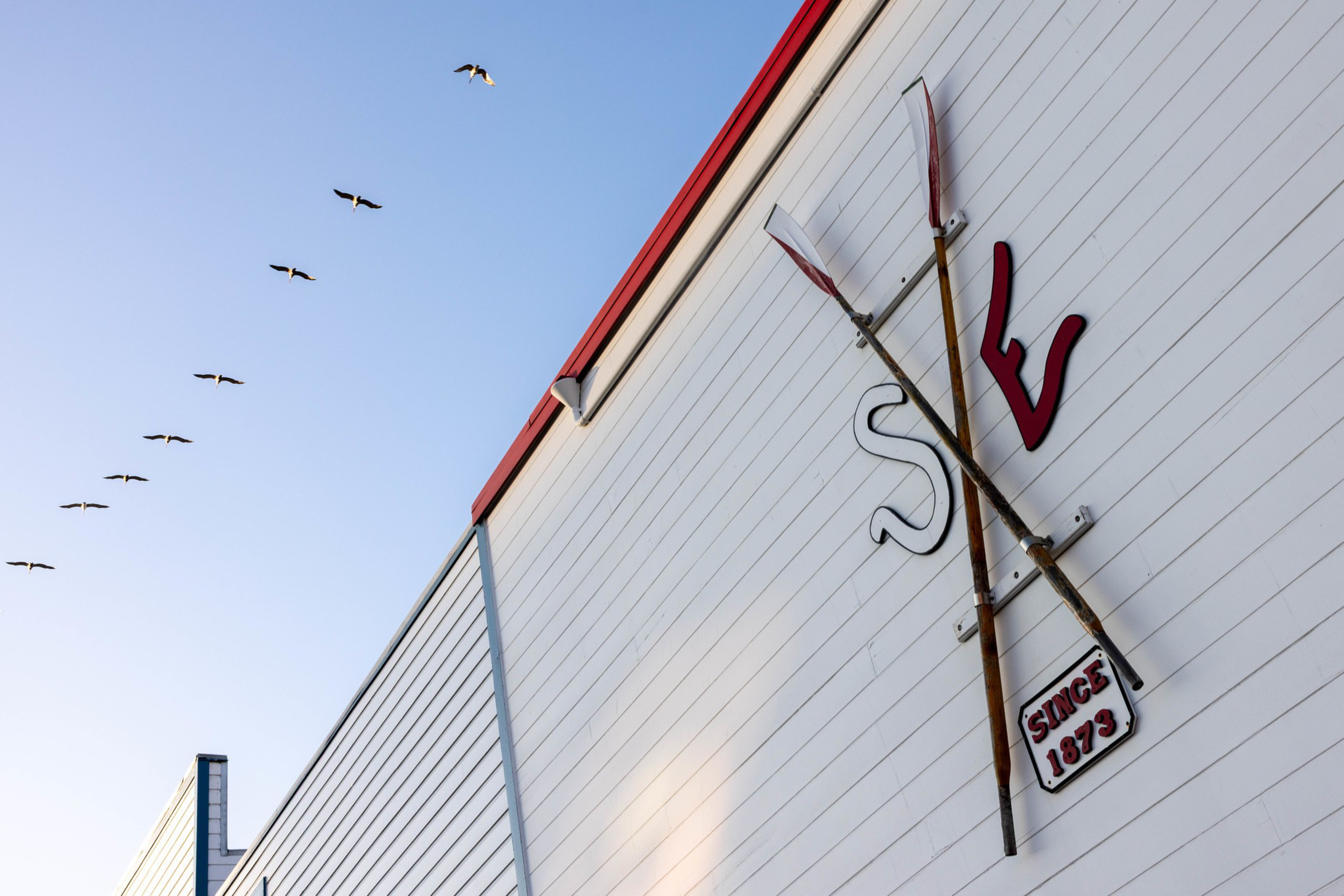Two crossed wooden oars mounted on a white building with red trim, the letters “S” and “E,” and a sign reading “SINCE 1873,” with a flock of birds flying in a clear sky.