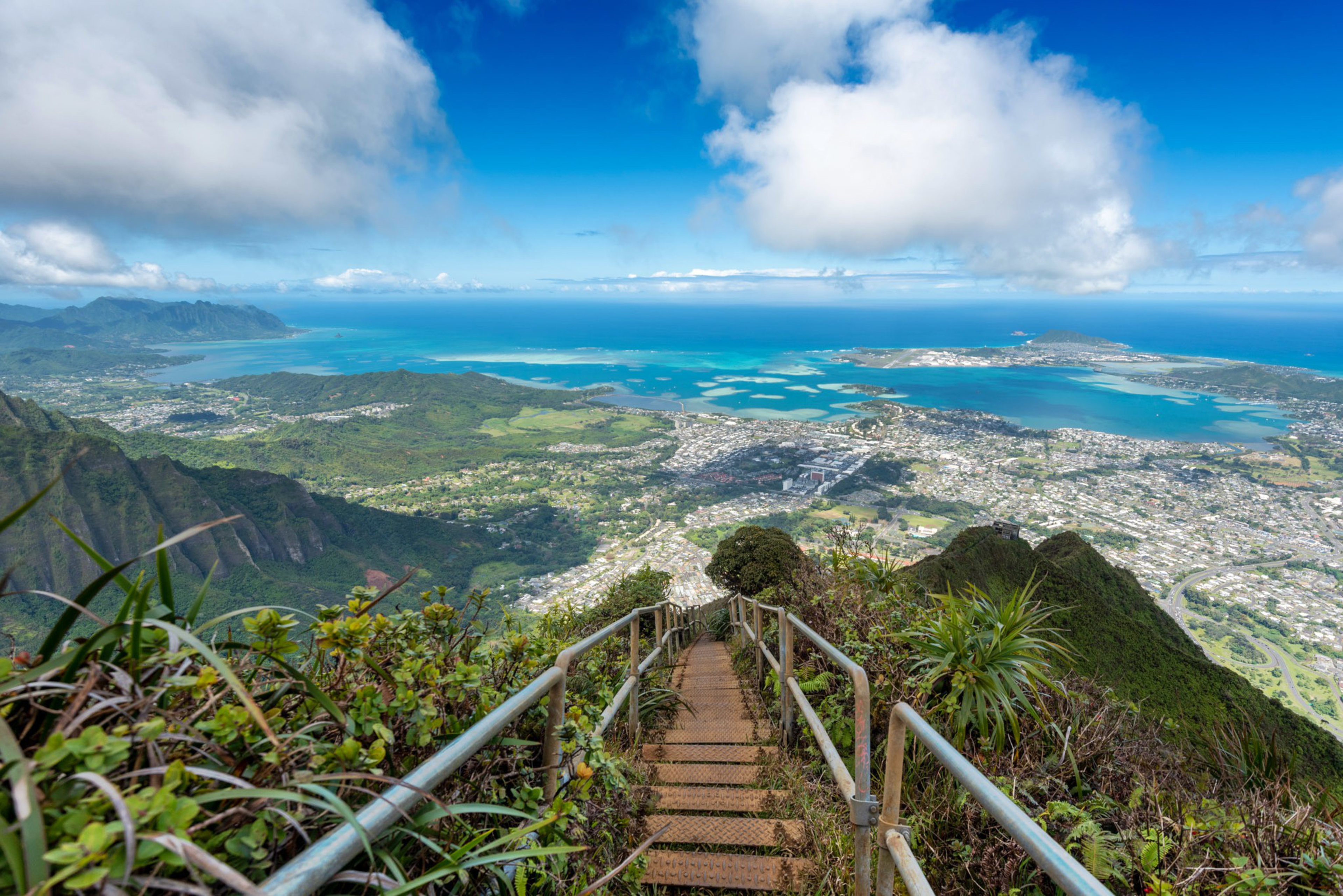 A narrow stairway with tropical foliage beside it on a mountain. 