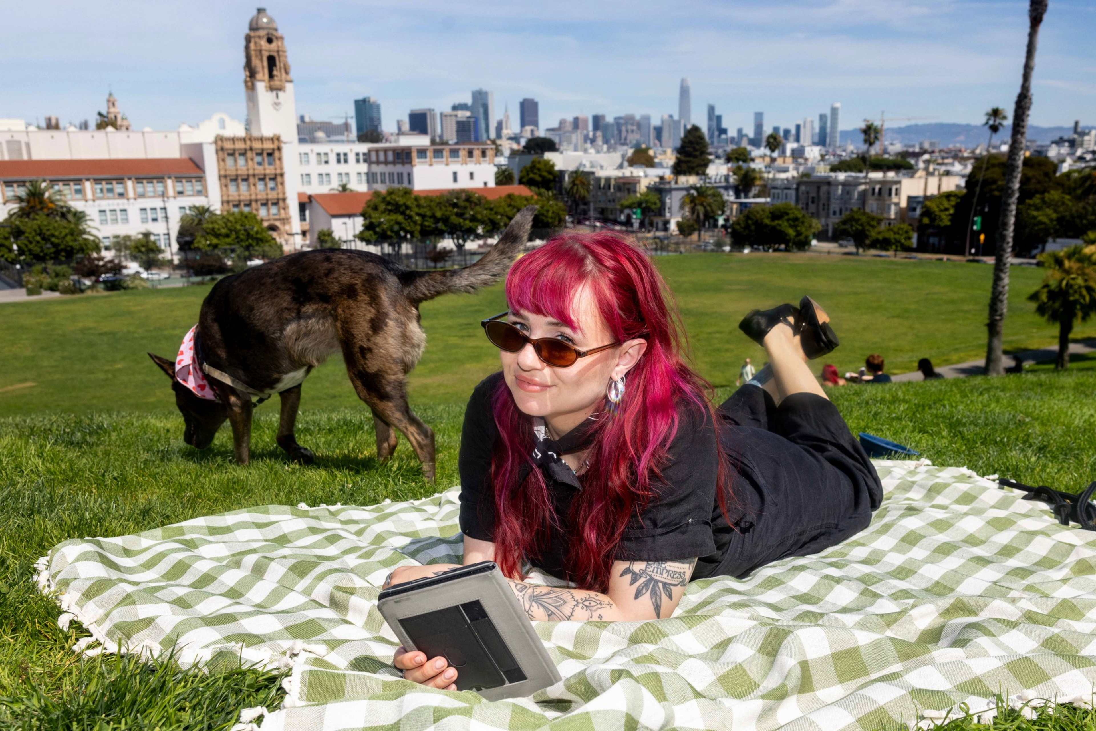 A woman with bright pink hair lies on a checkered blanket with an e-reader, while a dog sniffs grass nearby in a park with a city skyline in the background.