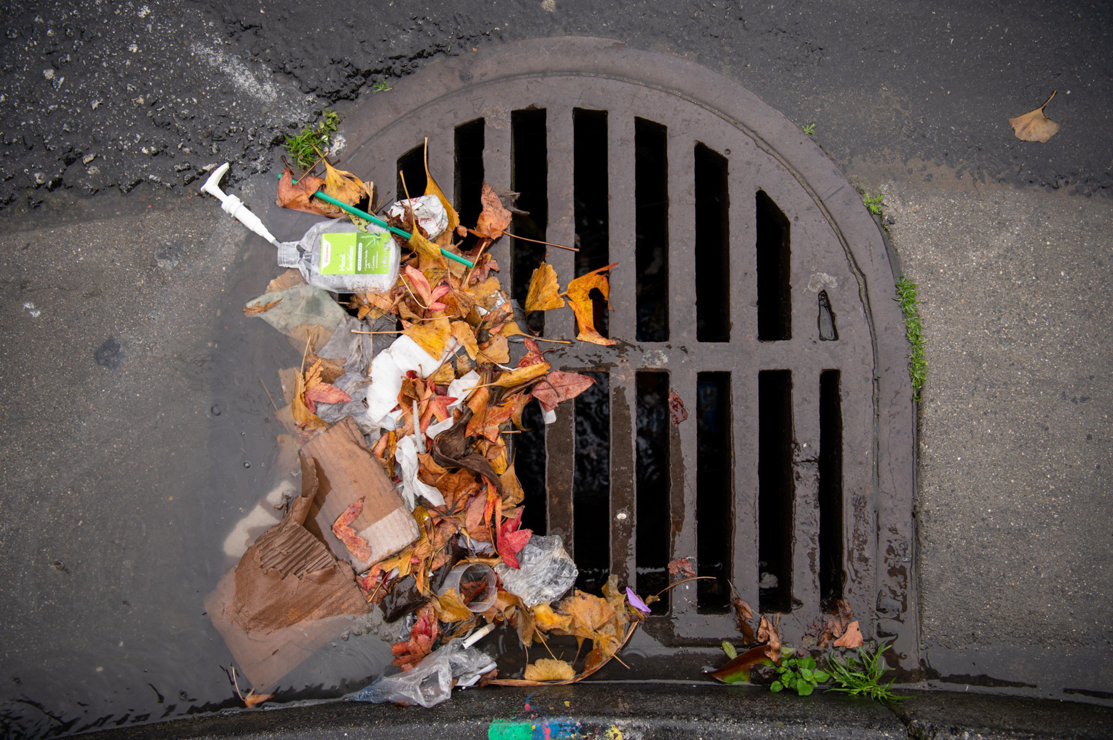 A storm drain partially blocked by fallen leaves, trash, a syringe, a plastic bottle, and other debris on wet pavement.