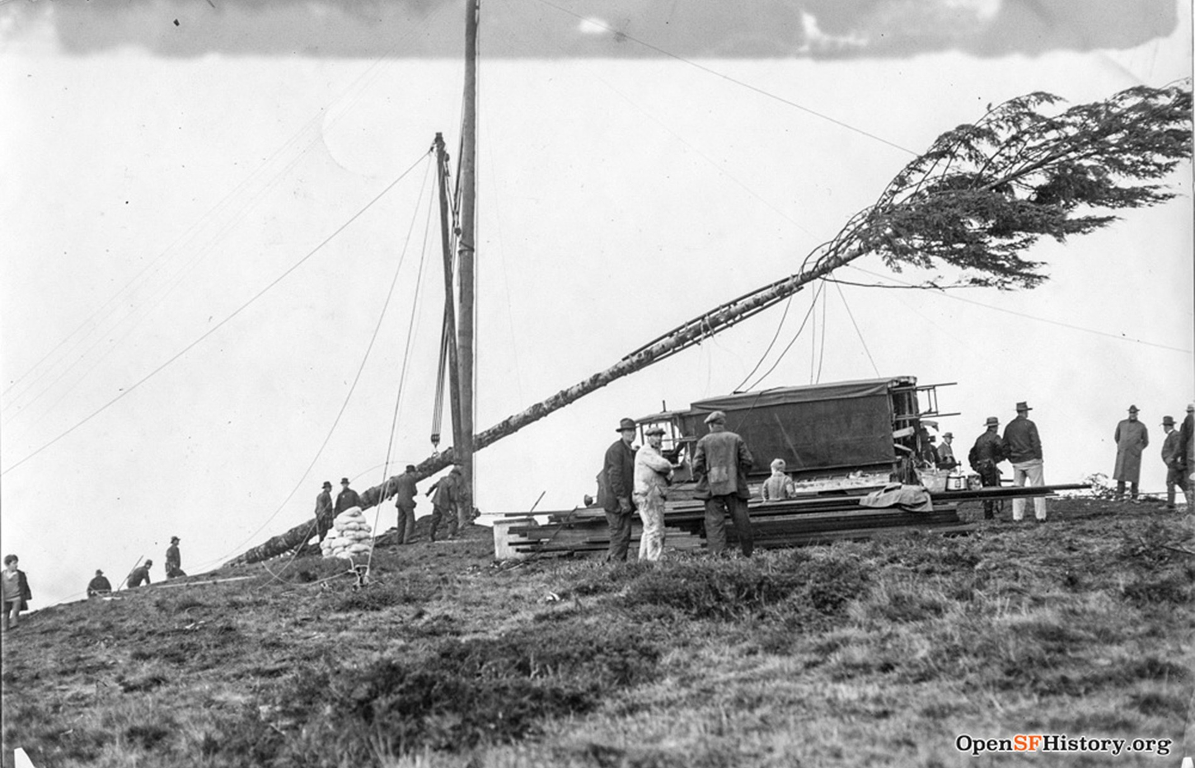 A black-and-white photo of people raising a large Christmas tree.