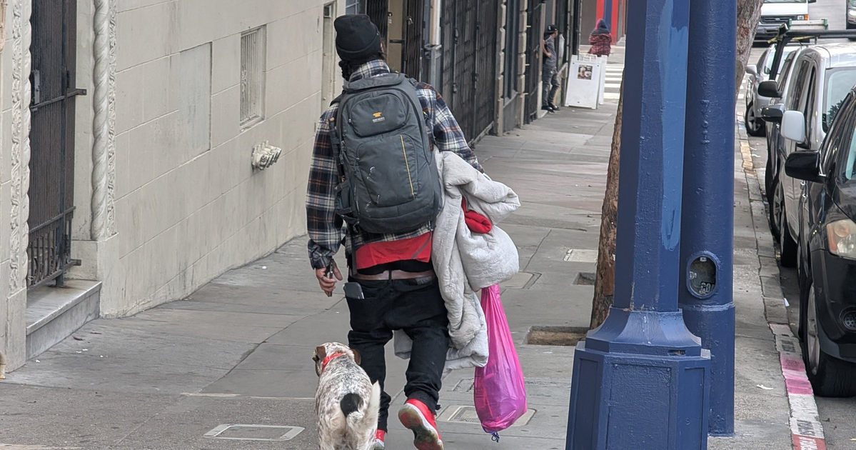 After vicious dog attack, supervisor calls for stricter regulations
