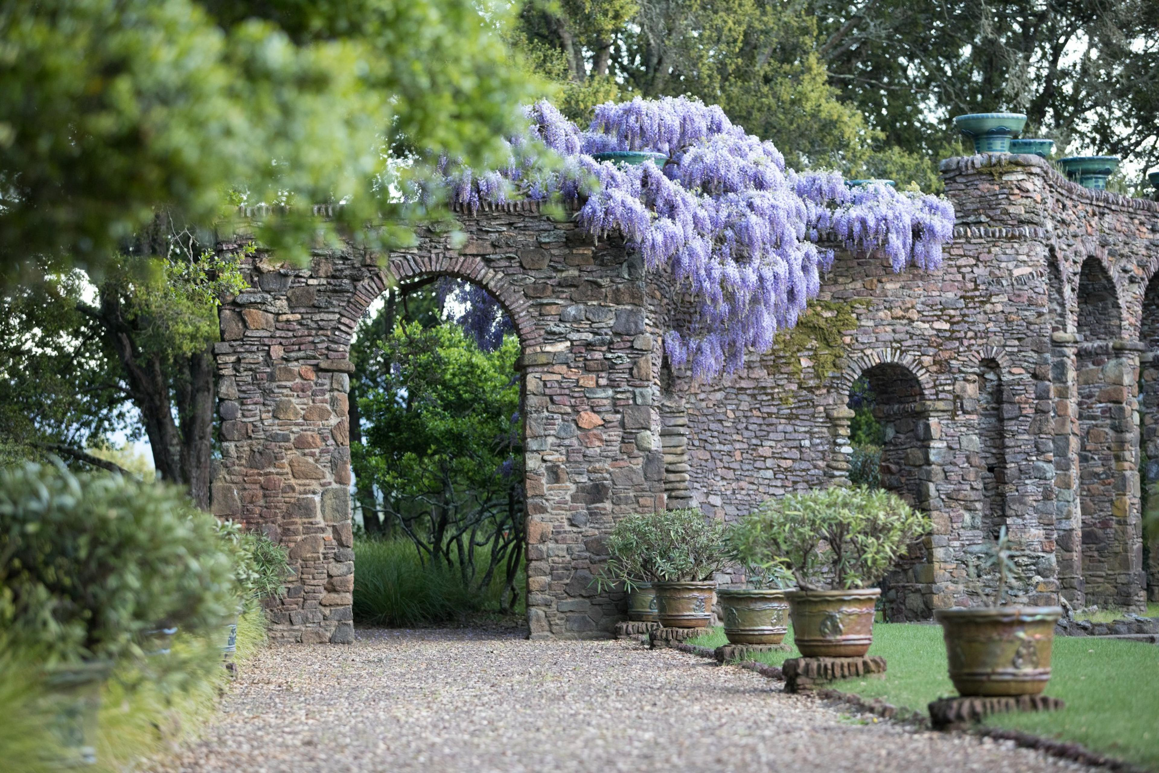 A stone archway entwined with cascading purple flowers leads to a garden path lined with potted plants and lush greenery.