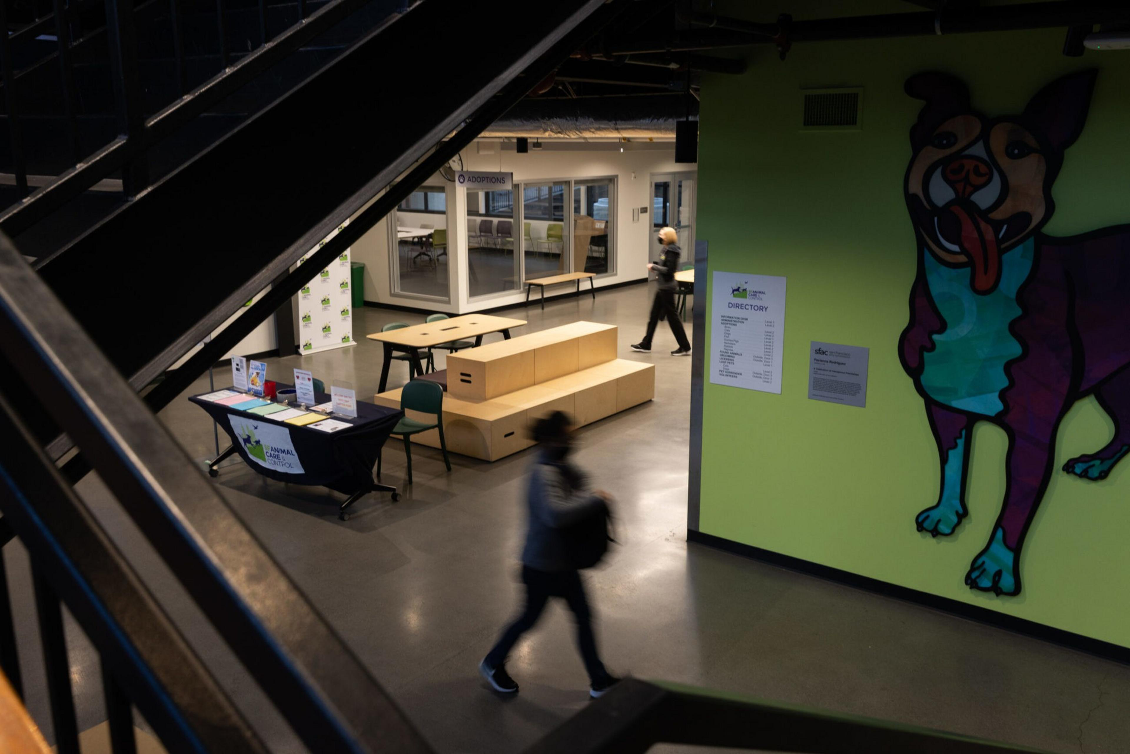 A person walks through a modern indoor space with minimalistic furniture, a directory sign on a wall, and a large colorful dog mural on a green wall.