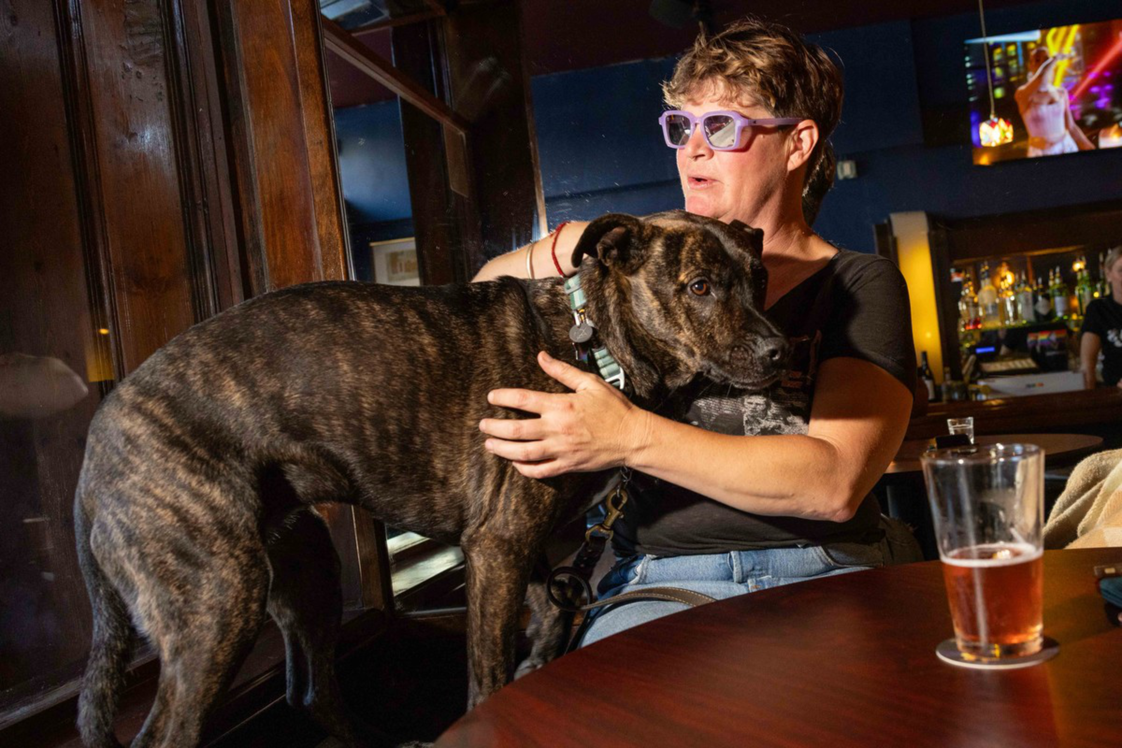 A person wearing purple glasses hugs a large brindle dog sitting on their lap at a table with a glass of amber beer.
