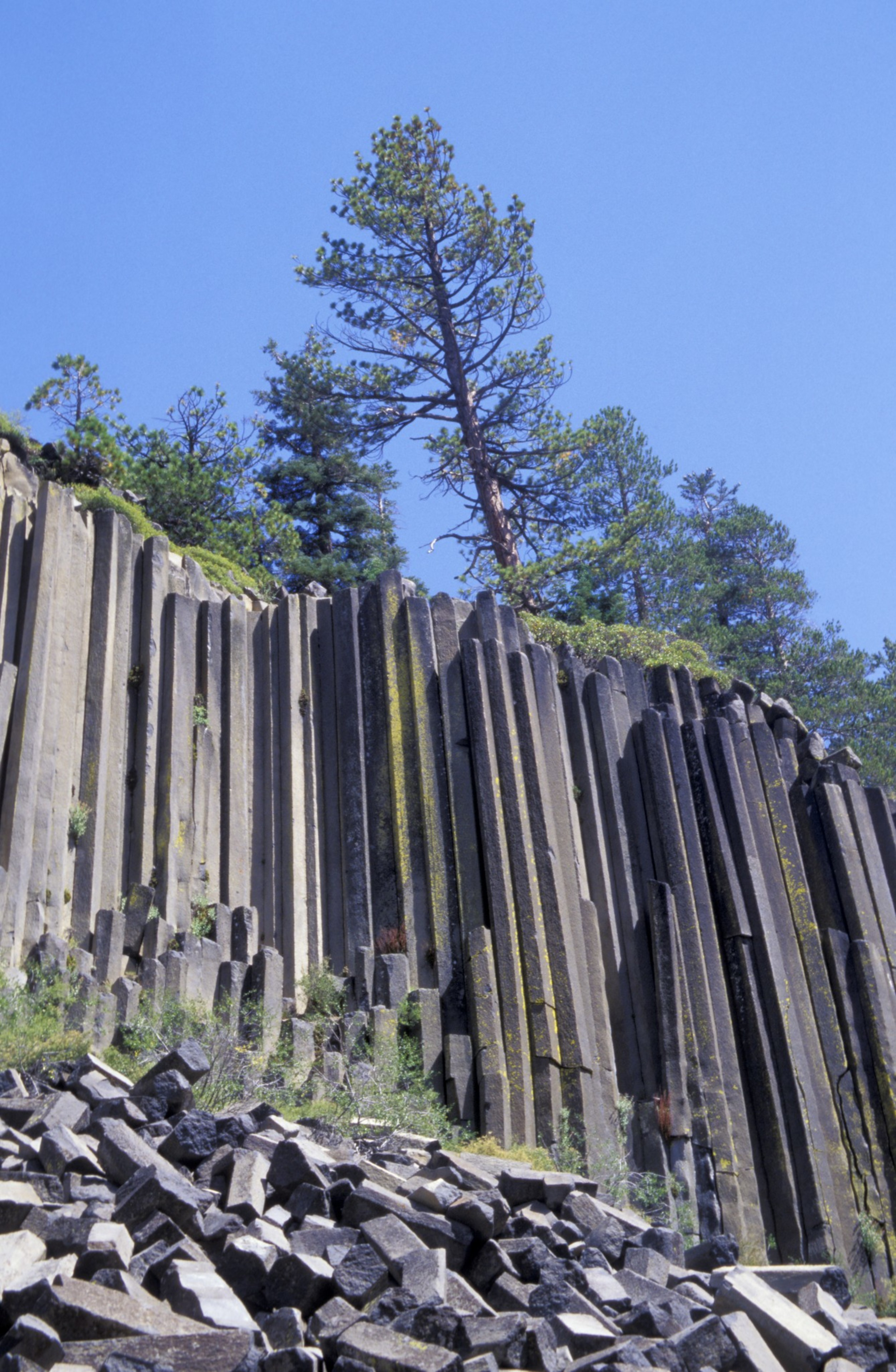 Tall, vertical basalt columns rise from the ground, with scattered rocks at the base. A few trees grow on top, set against a clear blue sky.