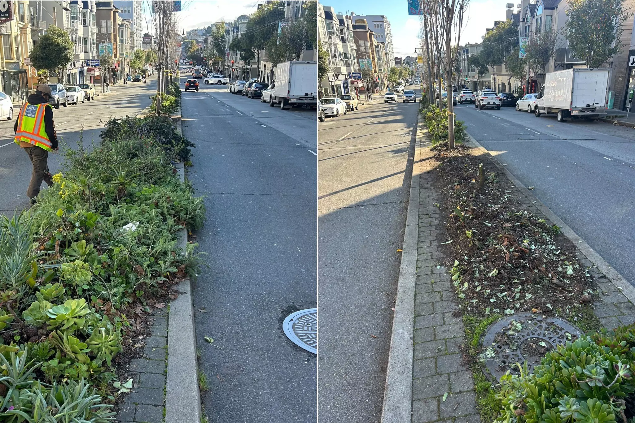 An artist spent a decade beautifying her Divisadero block. The city destroyed it in hours