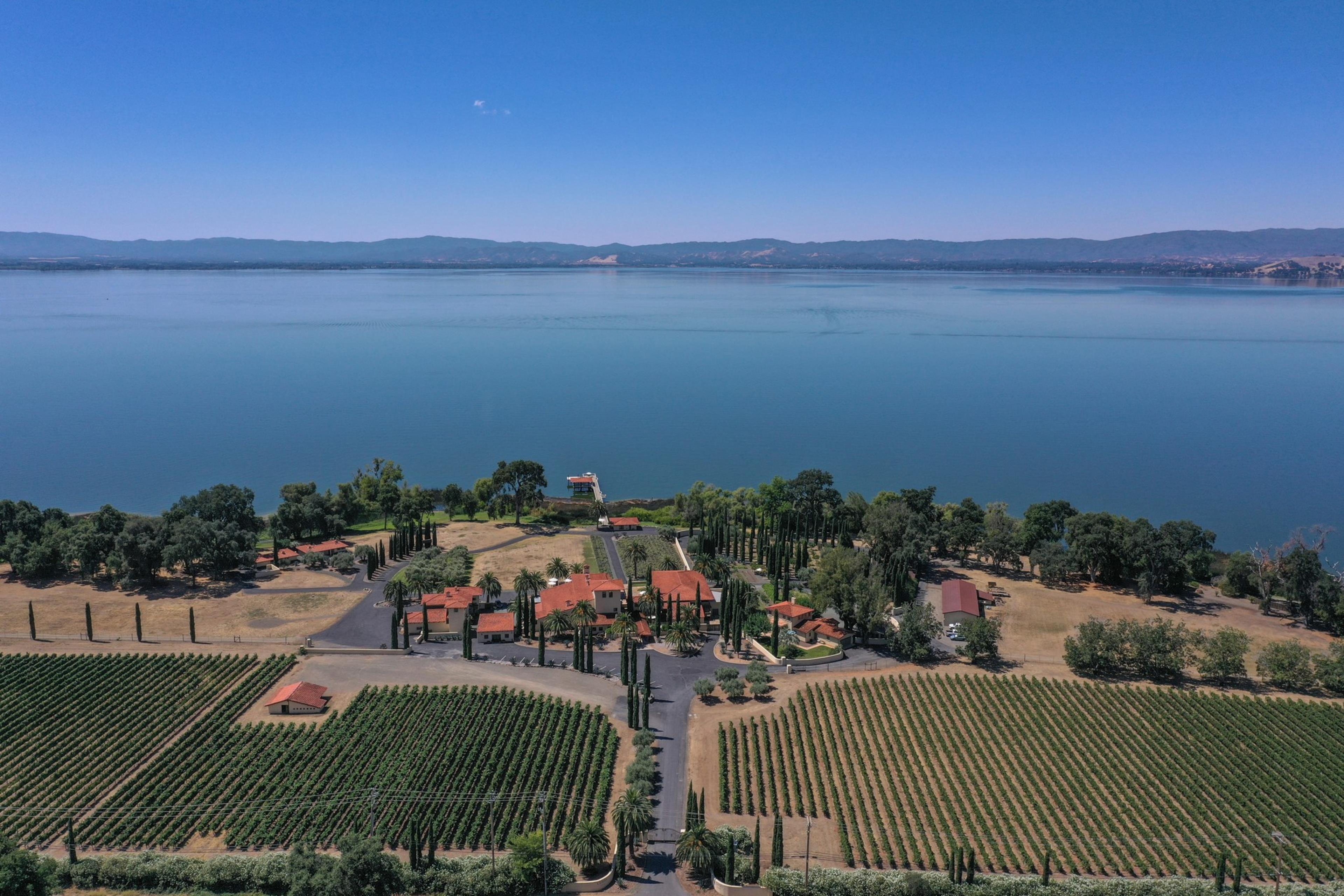 A vineyard with rows of grapevines surrounds a cluster of red-roofed buildings, bordered by tall trees and a large, calm lake under a clear sky.
