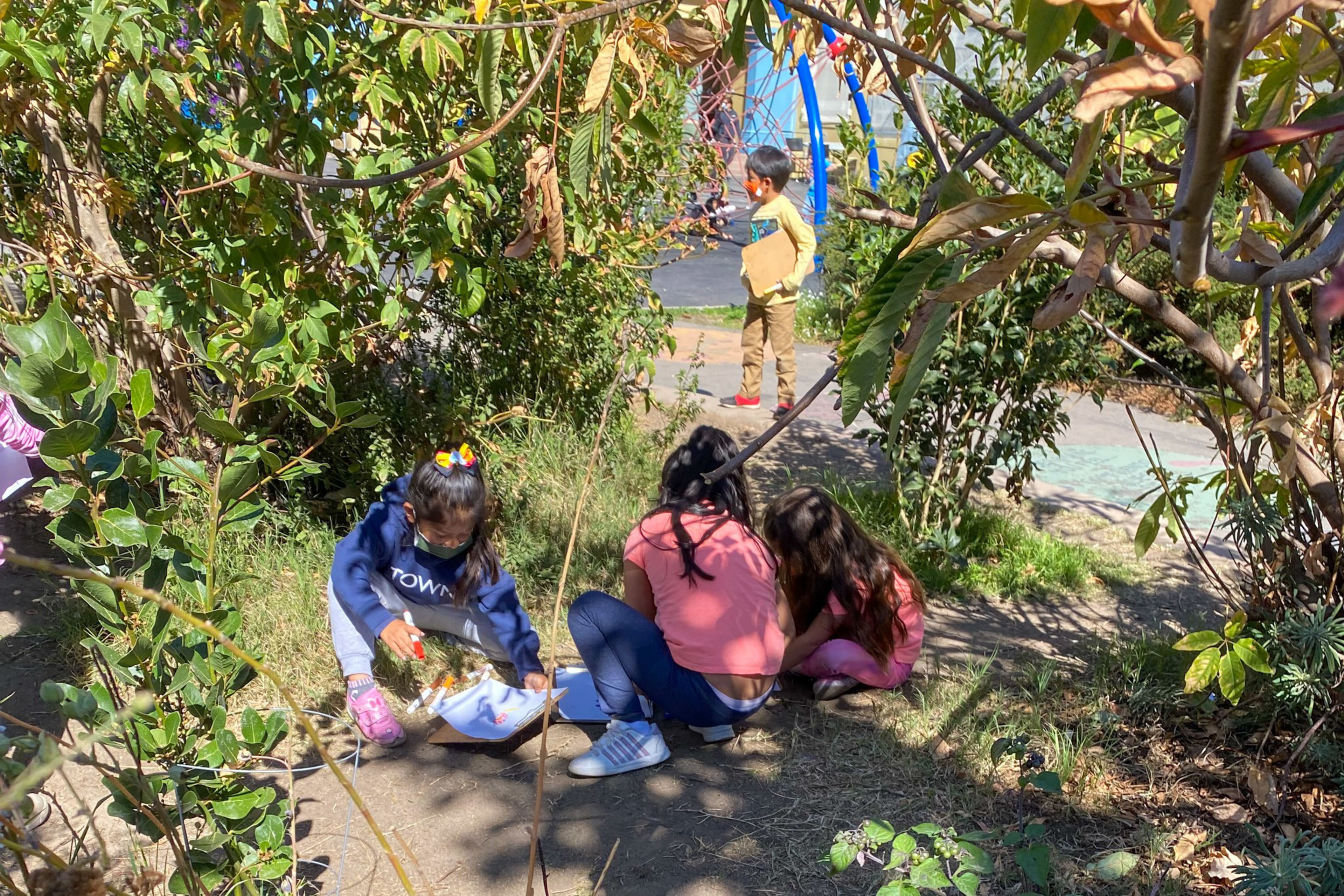 Three children are sitting on a grassy patch under trees, with two girls closely grouped and another girl holding a bag, while a boy walks on the sidewalk.