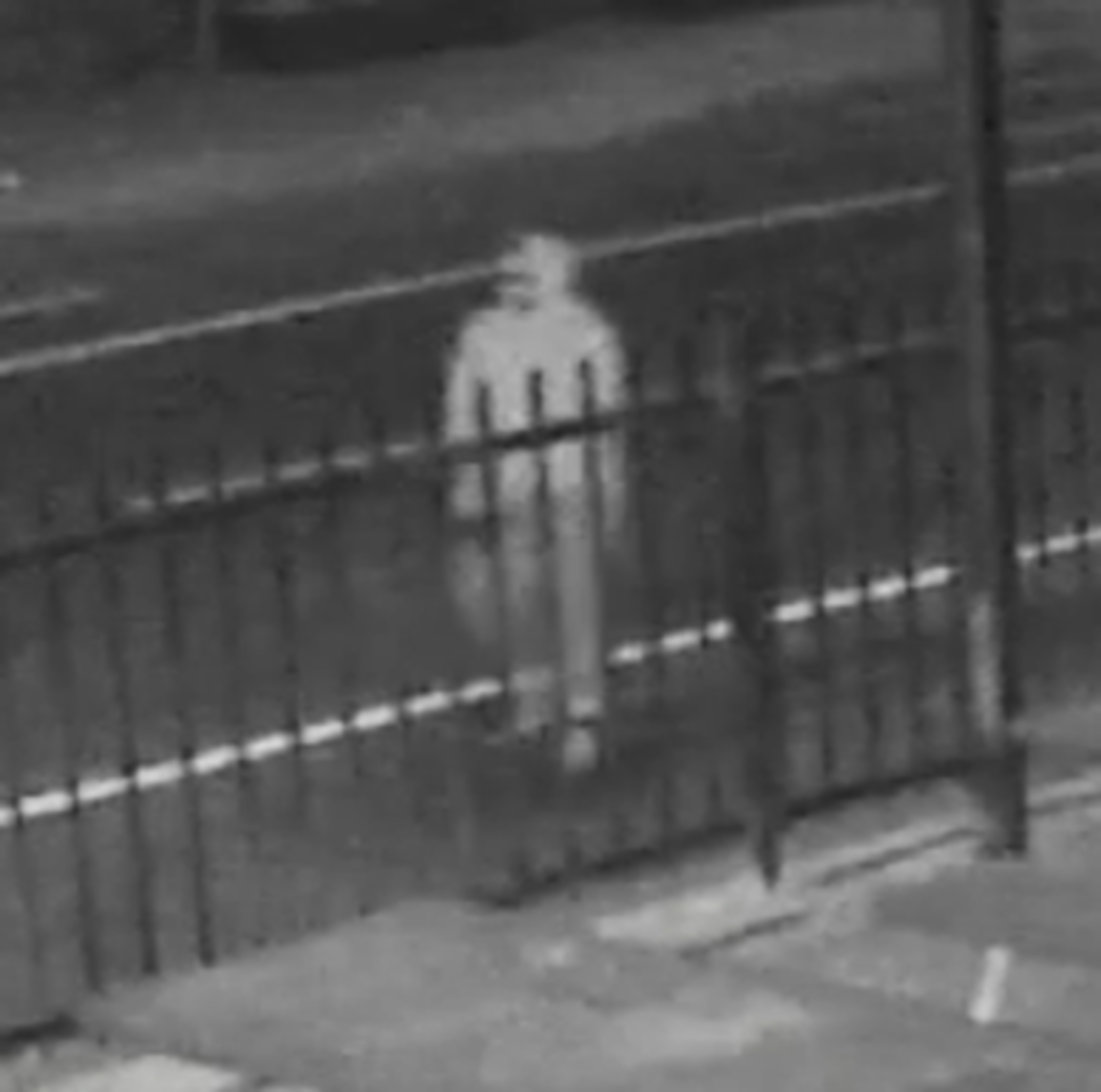 The Los Angeles Police Department is asking the public for help Friday in apprehending a possible serial killer responsible for a string of murders targeting homeless victims.