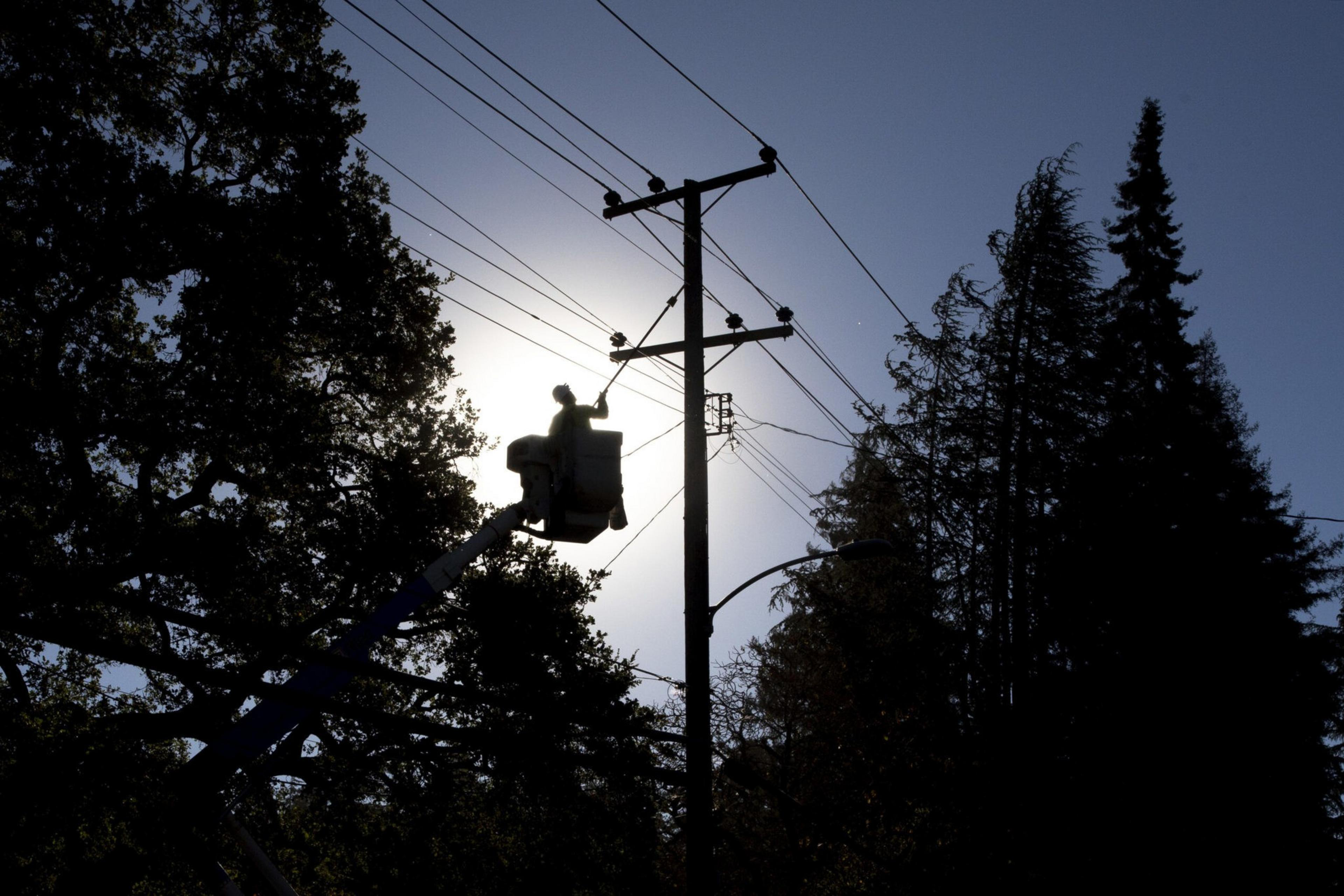 Pacific Gas and Electric (PG&amp;E) line inspector Kevin Ogans works to clear lines so crews can begin removing a tree that crashed into live power lines along Mountain Boulevard in the Montclair Village neighborhood of Oakland. | Jessica Christian/The San