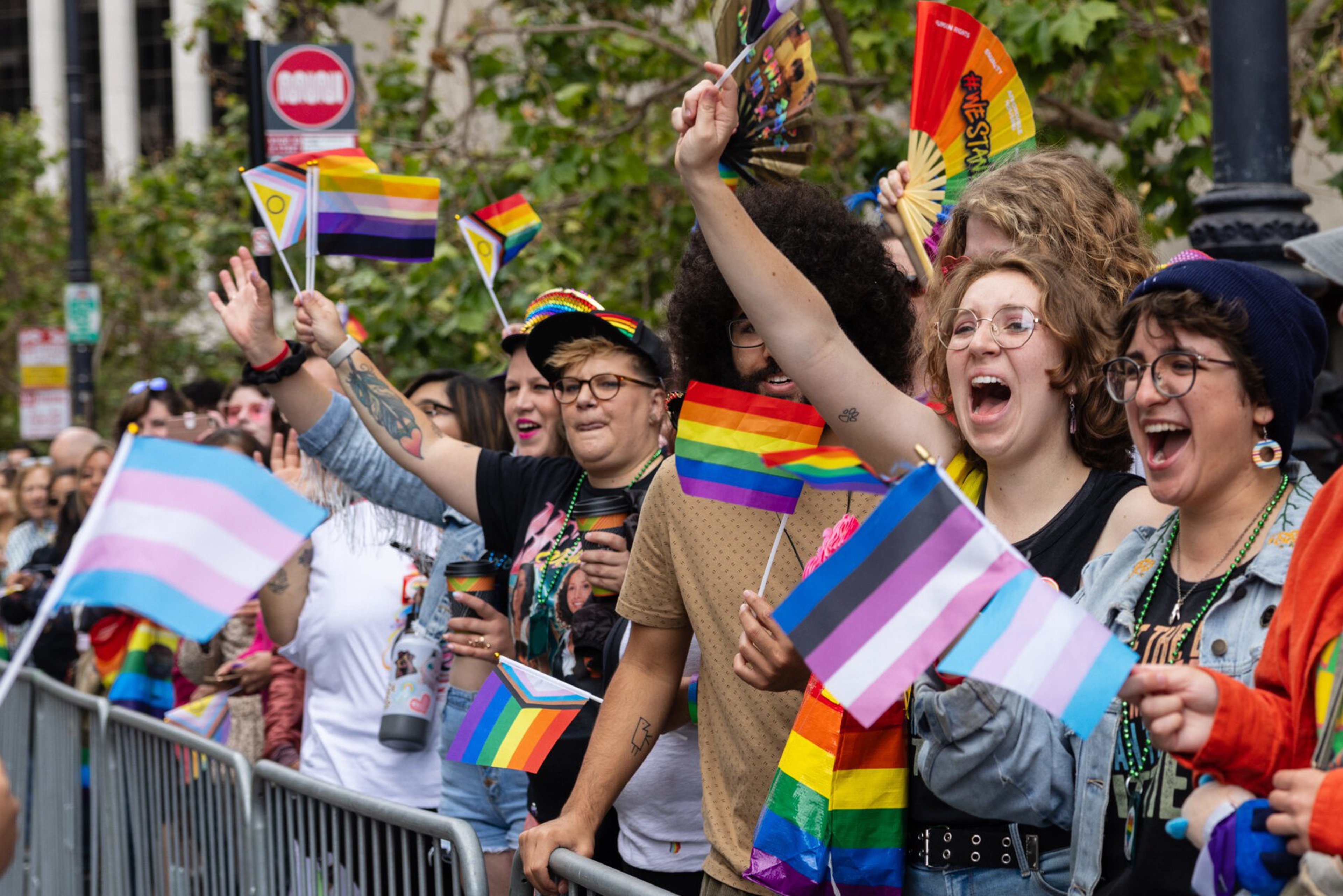 A diverse group of people cheer and wave various rainbow and transgender pride flags at a crowded outdoor event behind metal barriers.