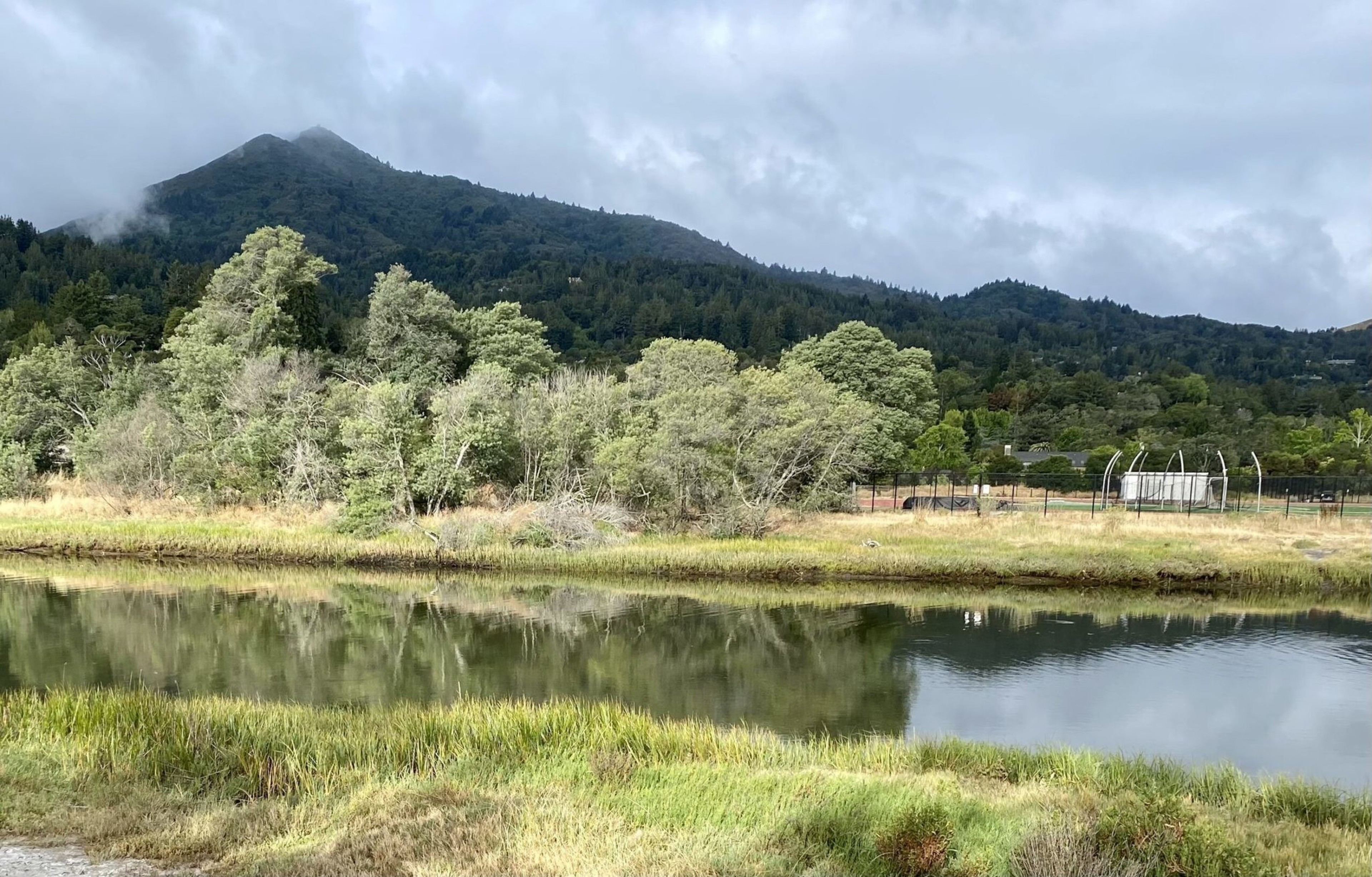 A serene landscape with a calm lake in the foreground, surrounded by lush greenery and a mountain shrouded in clouds.
