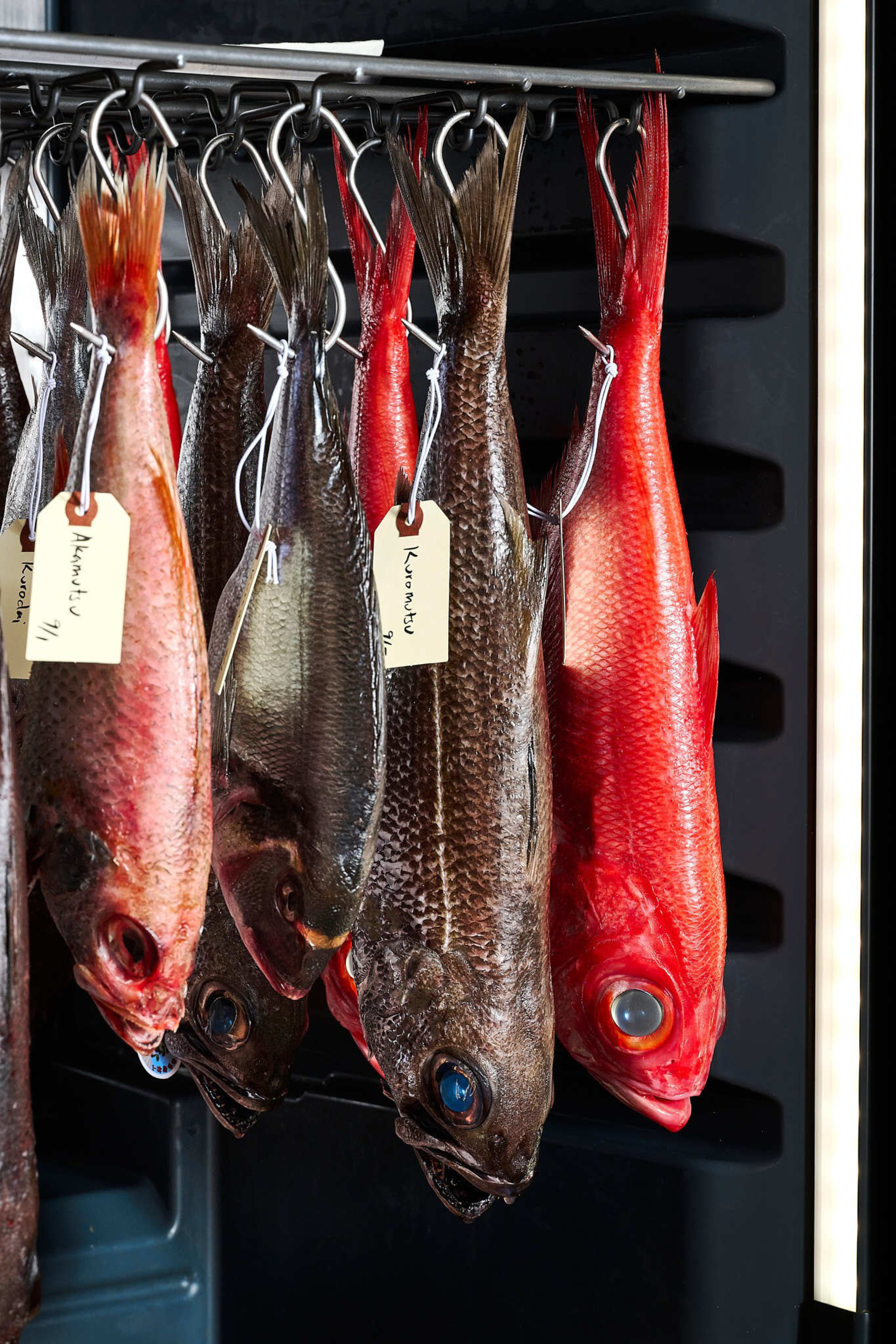 Fishing aging at Akikos in San Francisco.