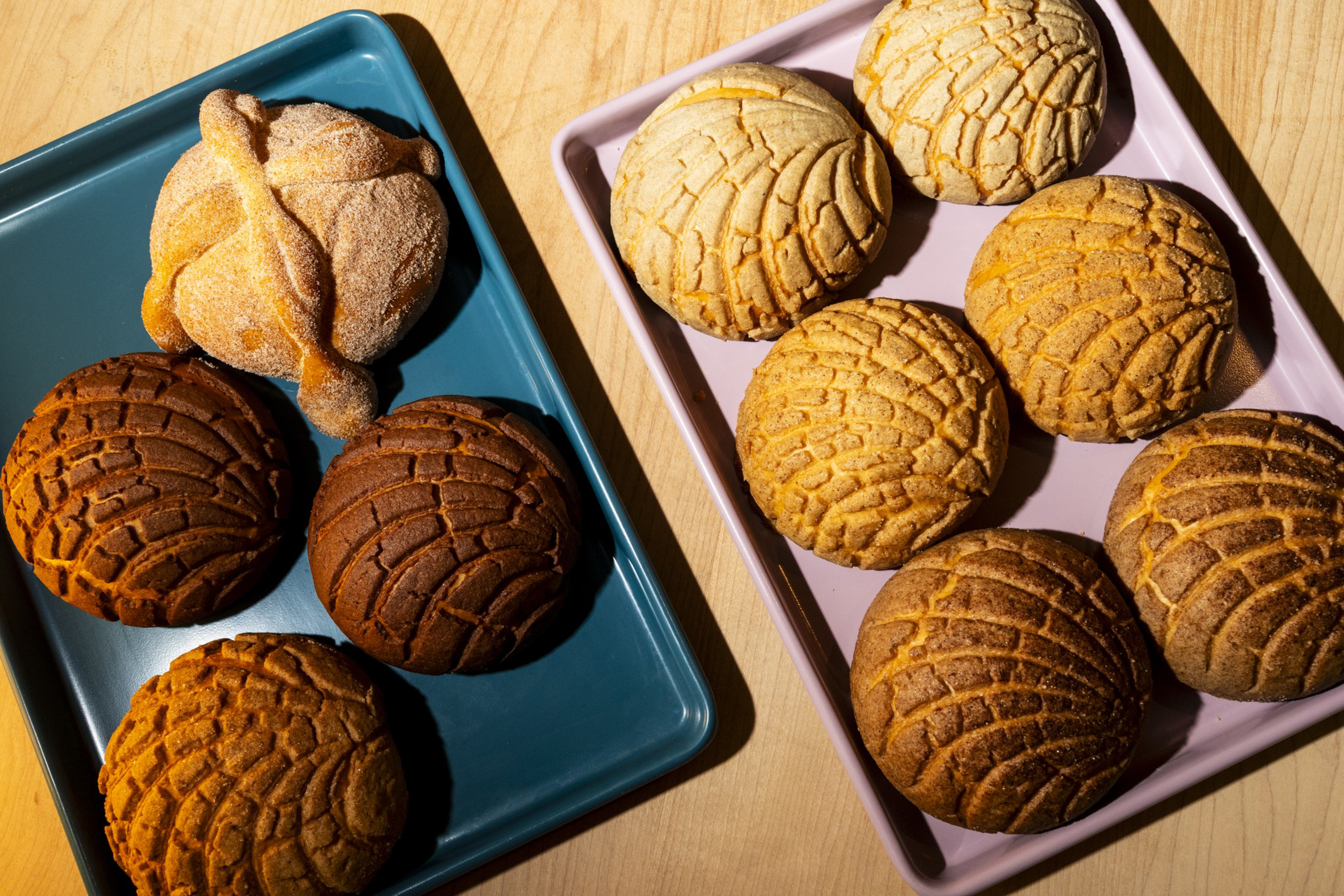 Two trays hold Mexican sweet breads: the blue tray has three conchas and one pan de muerto, the pink tray has seven conchas of varying shades.