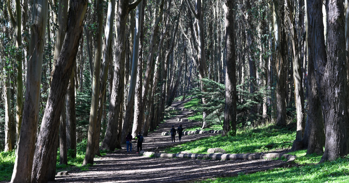 Camelot with coyotes: What it’s like to call the Presidio home