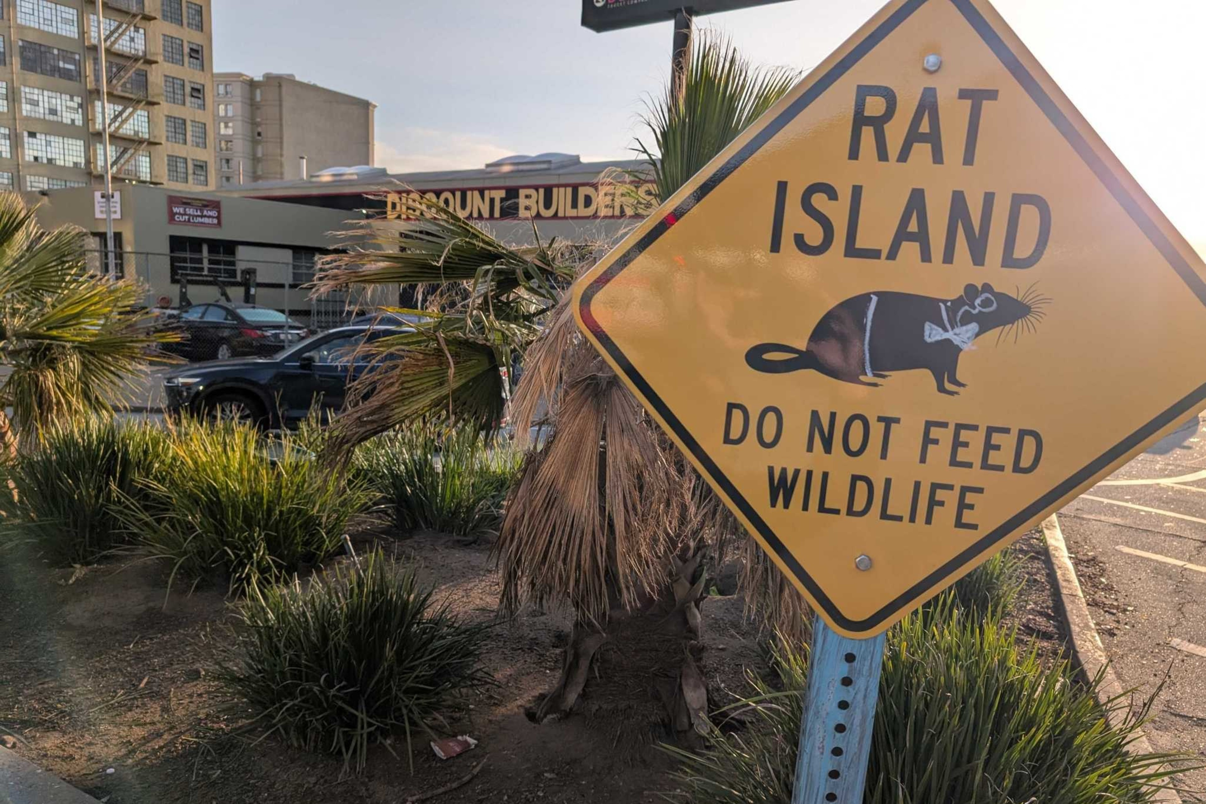 A yellow sign warns "Rat Island: Do Not Feed Wildlife" with a cartoon rat. It's set in front of a building and surrounded by palm plants and parked cars.