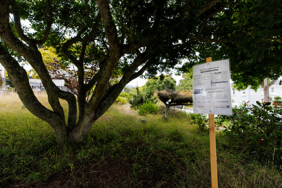 Rich neighbors cite a maple tree in fight to stop a mansion from rising on an empty lot