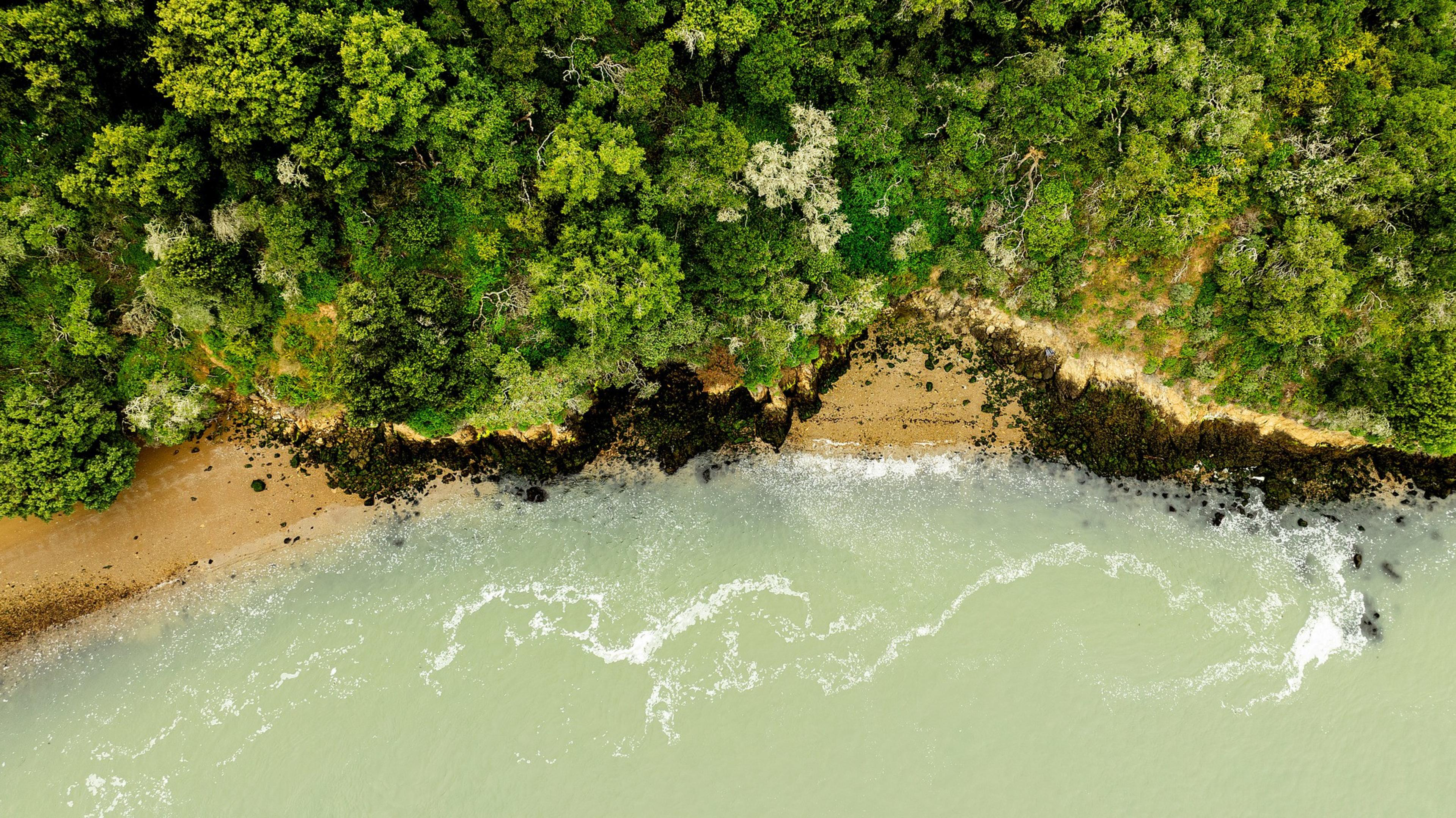 The image shows a coastal area from above, with lush green forest meeting a sandy beach. Waves gently lap against the shore, creating a vivid contrast.