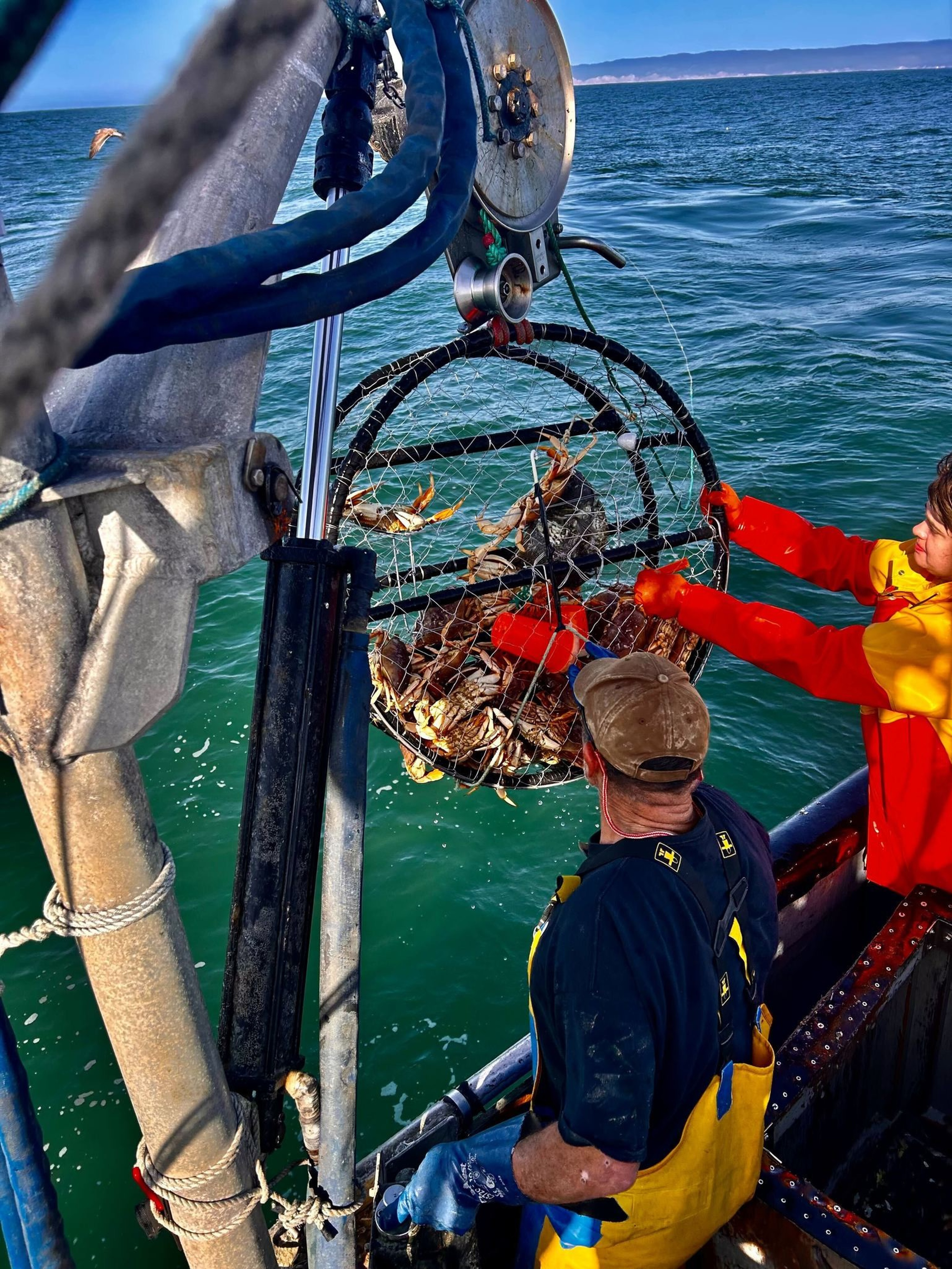 Two fishermen on a boat haul a metal crab trap filled with live crabs from the ocean using a pulley system.