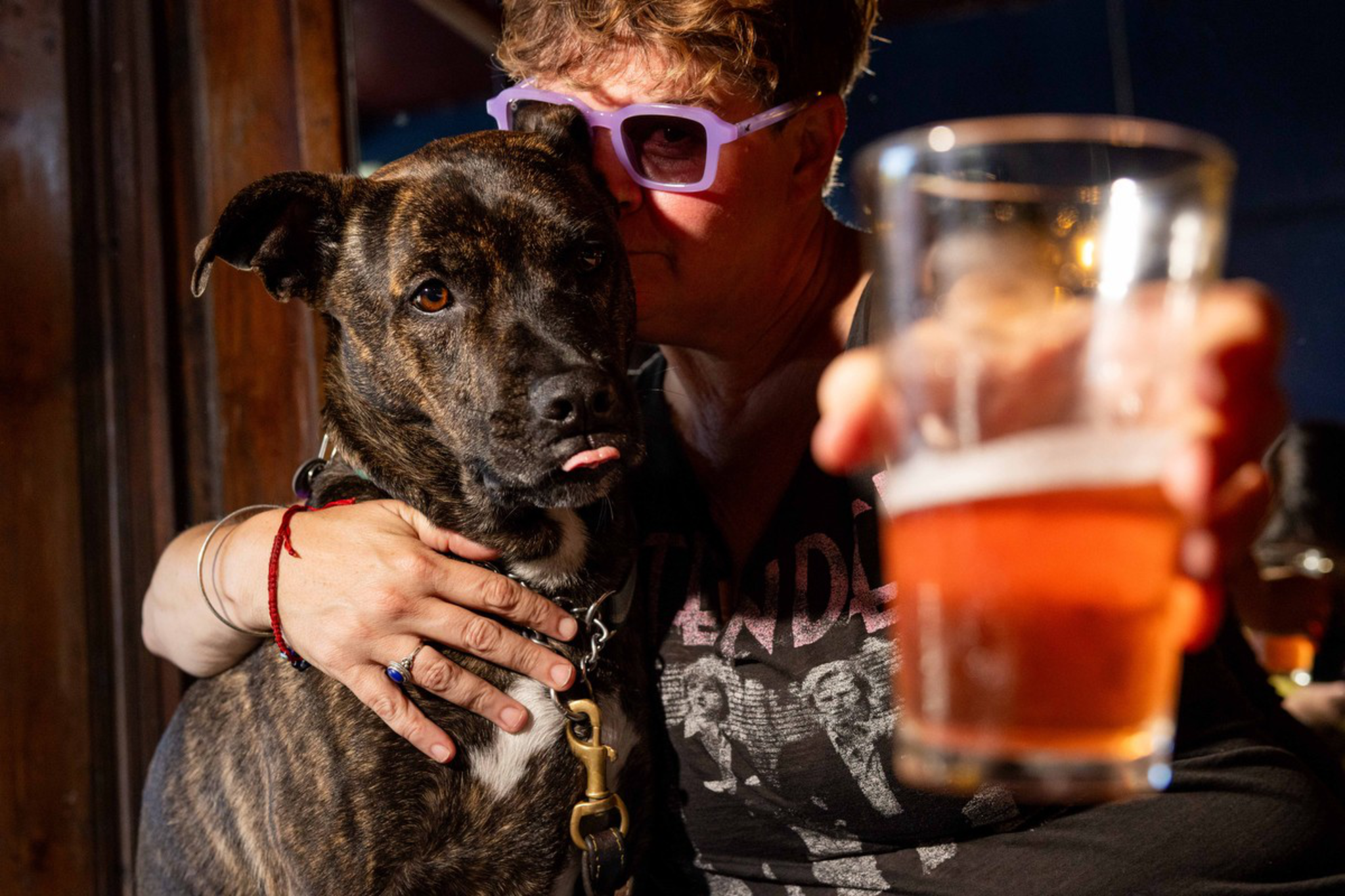 A person wearing purple sunglasses hugs a brindle dog while holding a glass of amber-colored beer toward the camera.