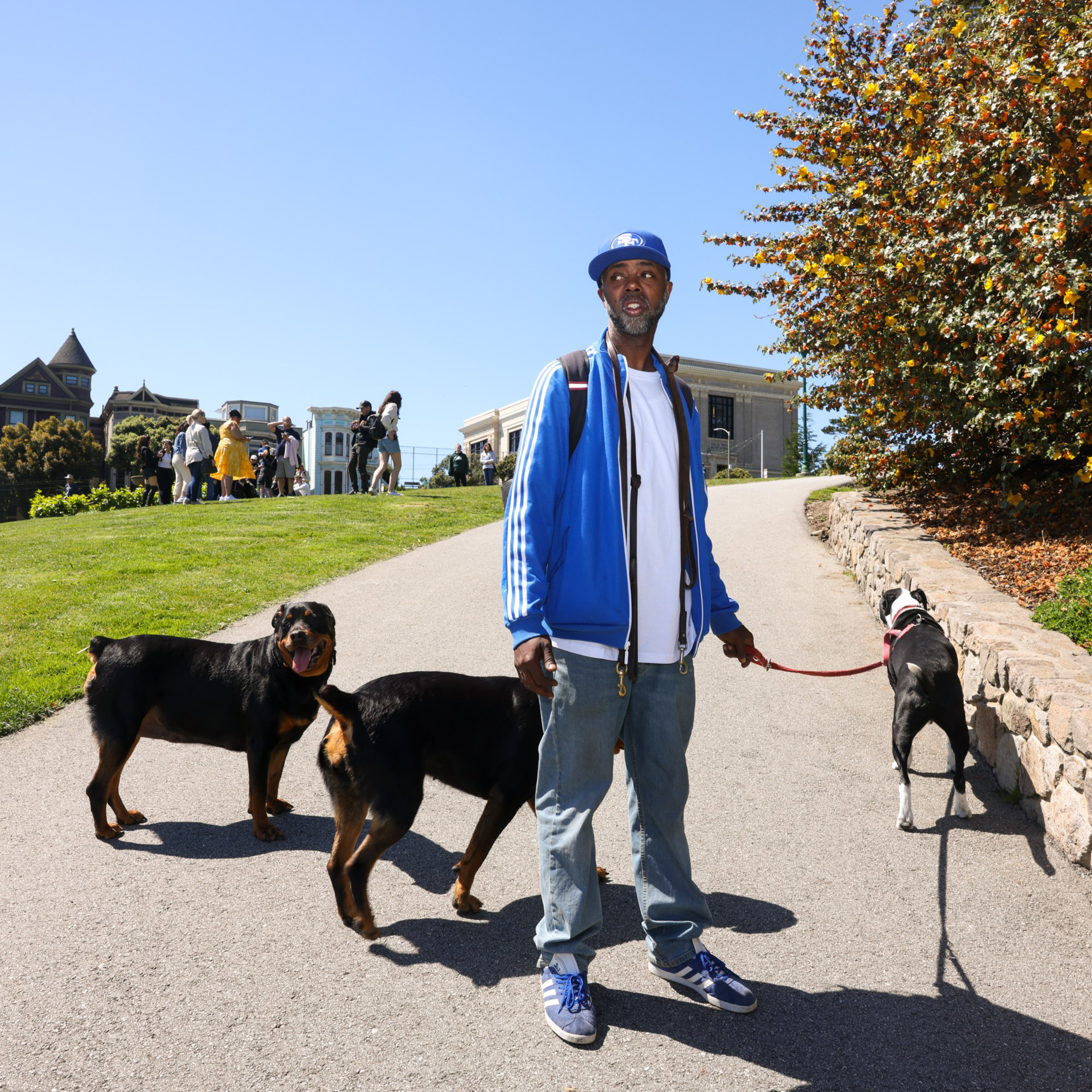 A man in a blue jacket and cap walks two dogs on a sunny park path. People stand on a grassy hill, and trees with autumn leaves line the walkway.