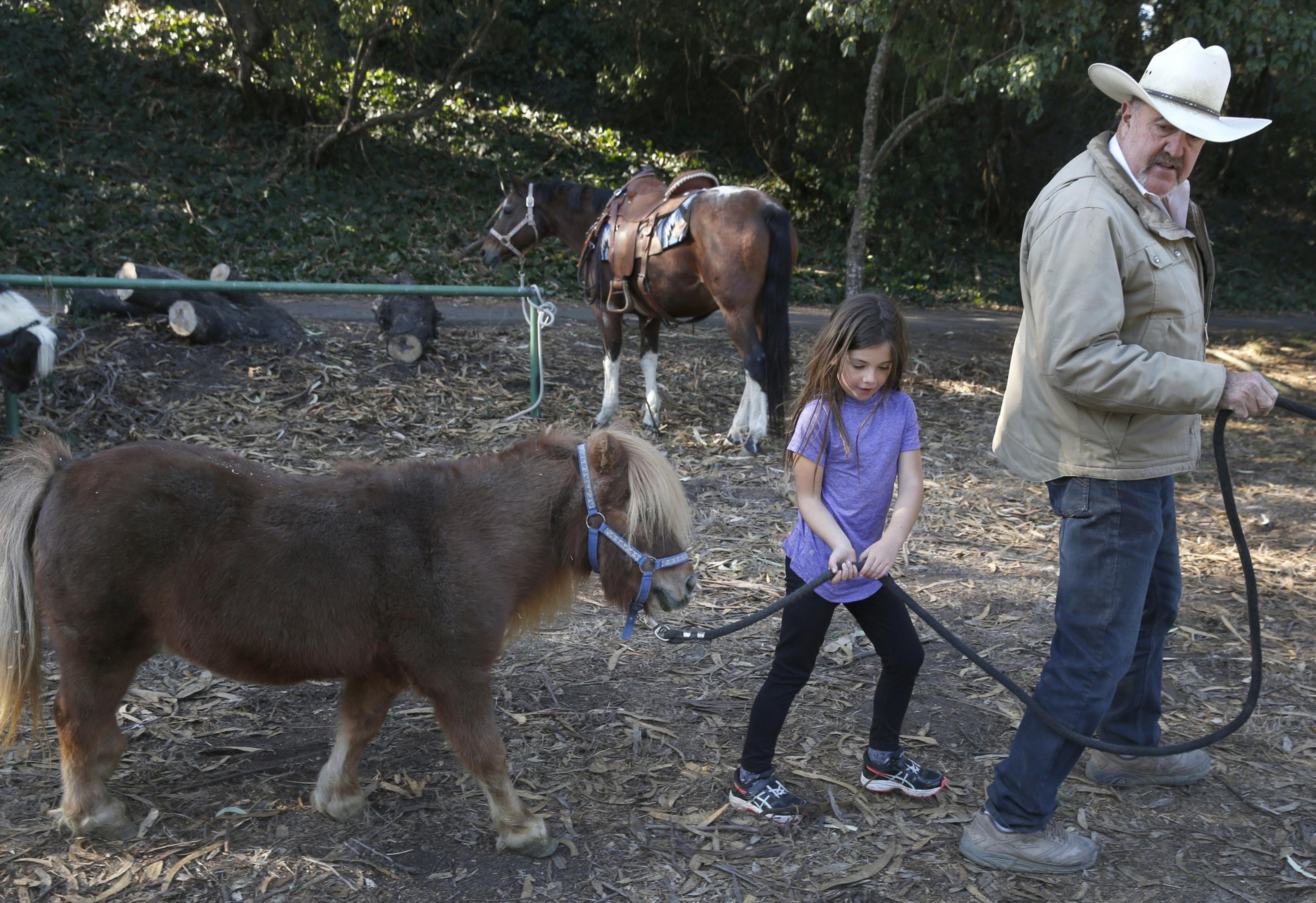 A girl leads a small pony, watched by an older man in a cowboy hat, near other horses and logs in a rustic setting.