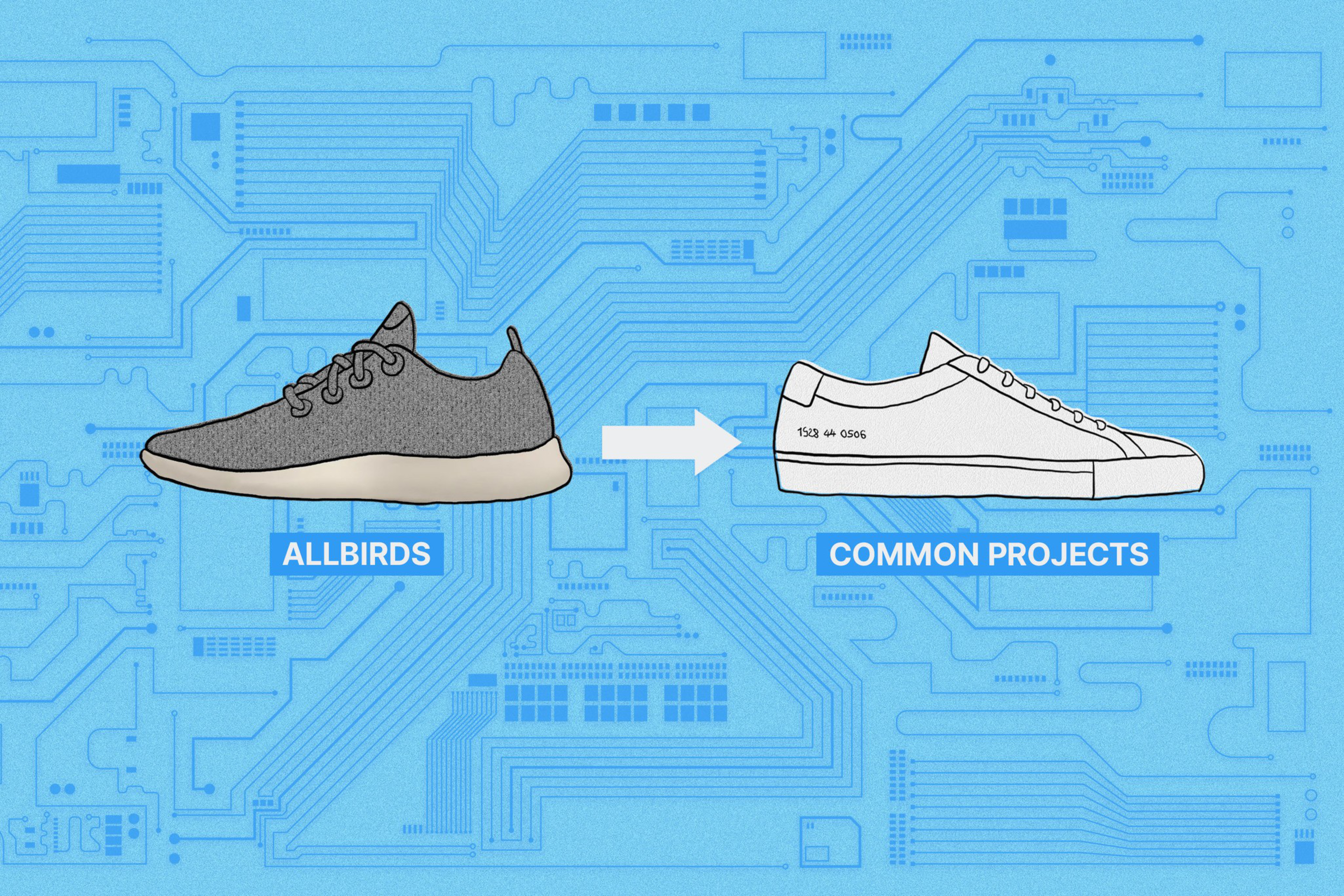 A comparison of a Allbirds shoes and Common Projects