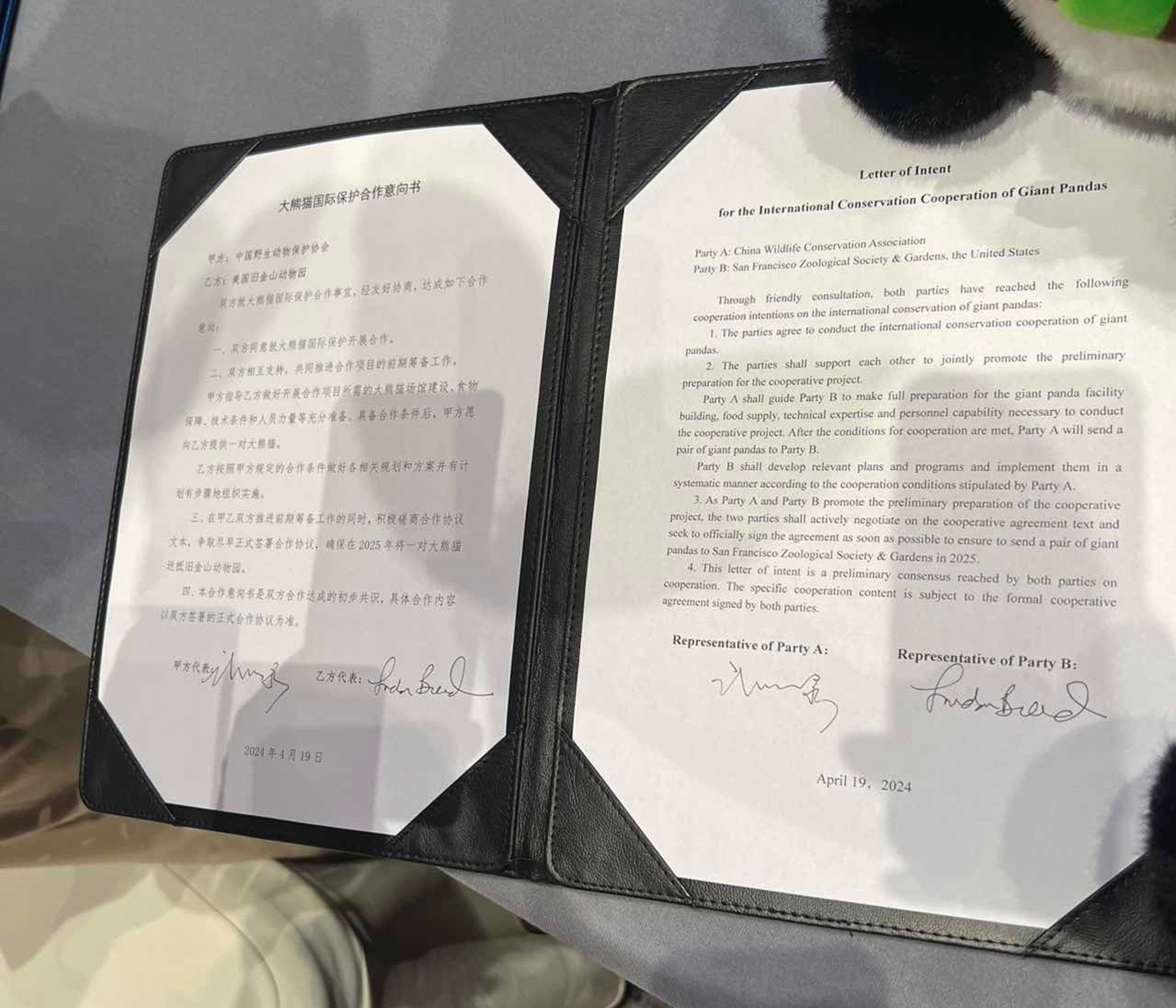 Open folder with a bilingual letter of intent for panda conservation cooperation, dated April 19, 2024, with two signatures.