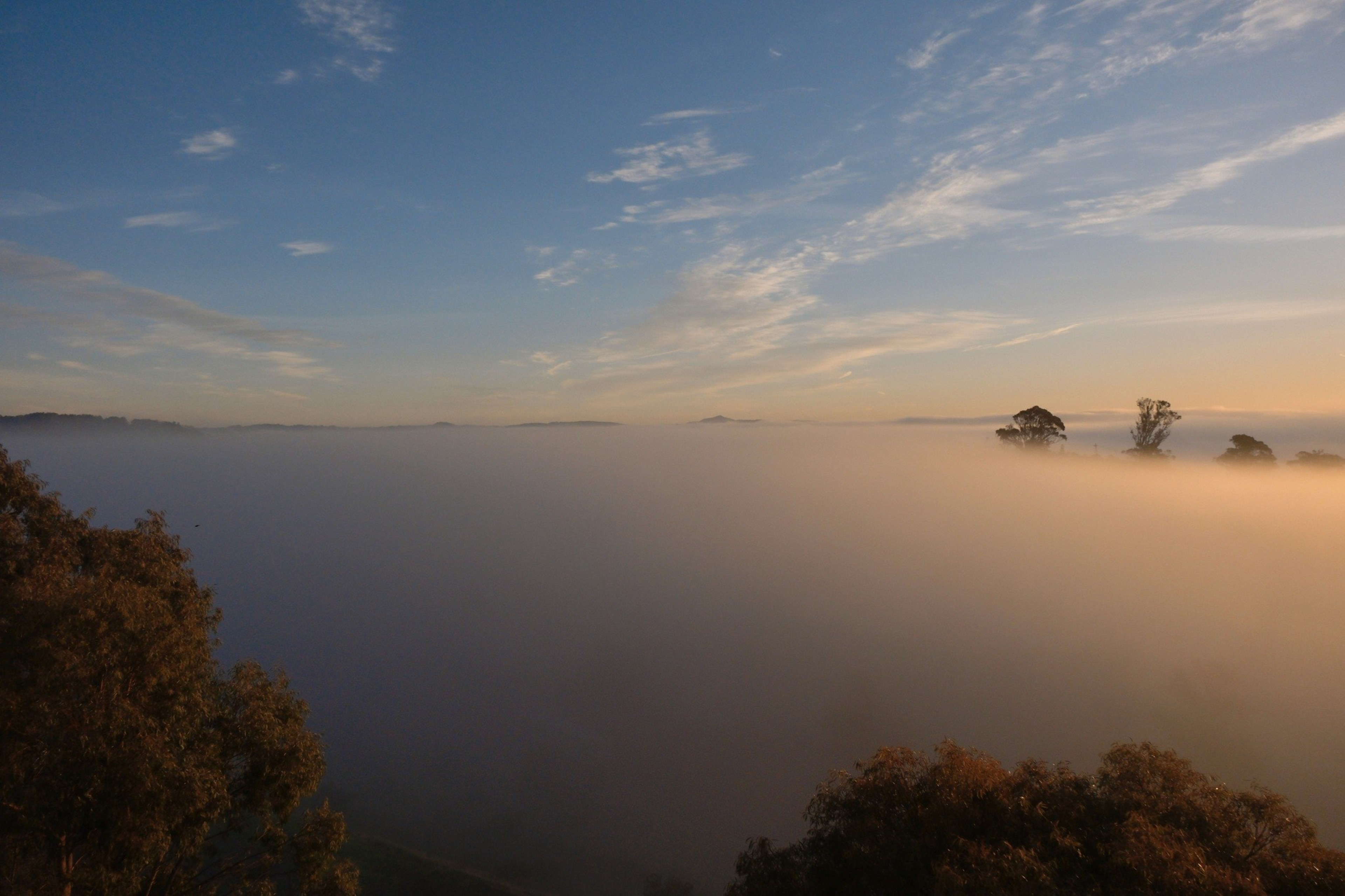 A serene landscape shows a vast fog blanket covering land, with tree tops visible. Above is a clear blue sky with scattered clouds, creating a peaceful scene.