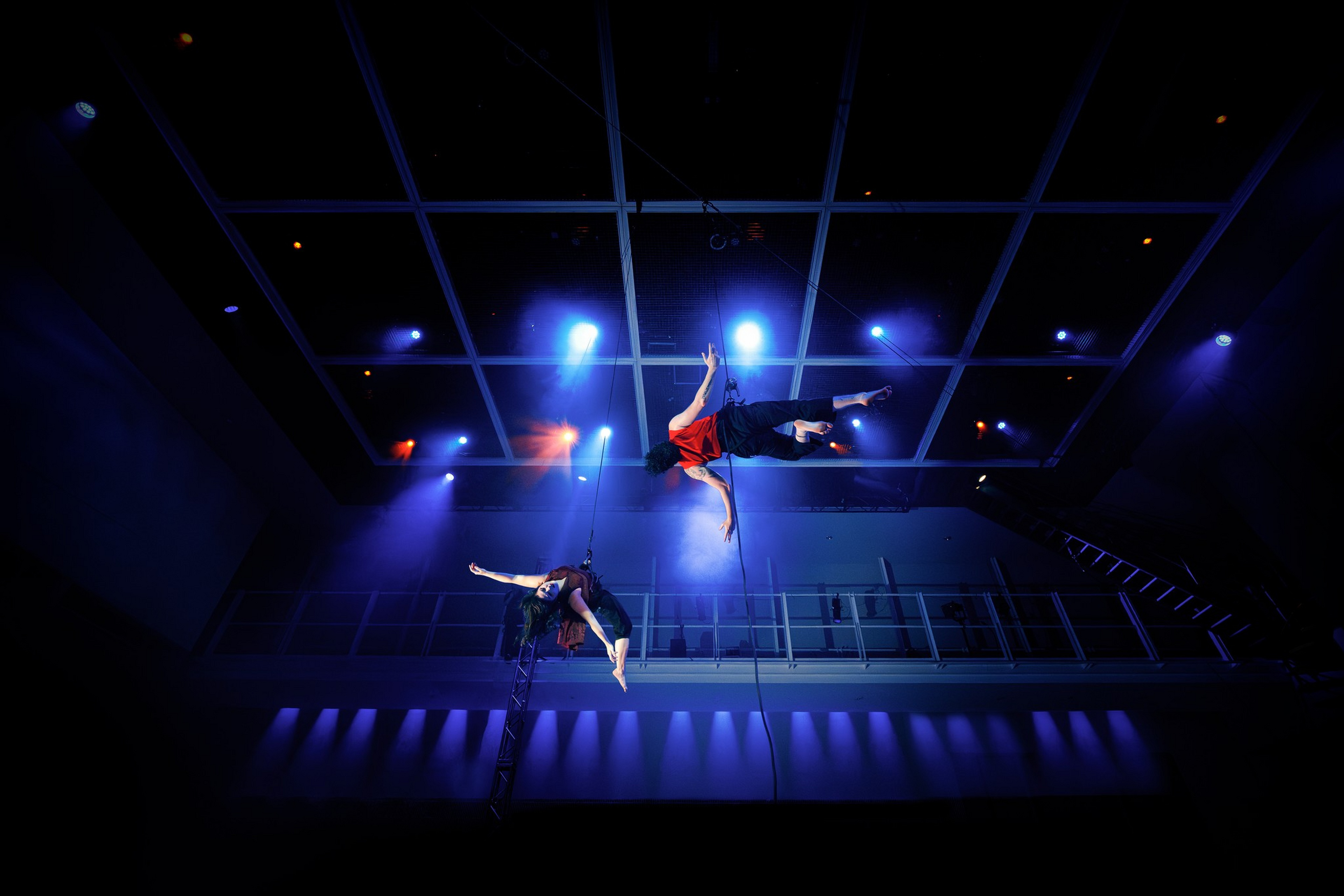 Two aerial performers suspended by harnesses perform graceful poses midair under bright blue and purple stage lights in a dark indoor venue.