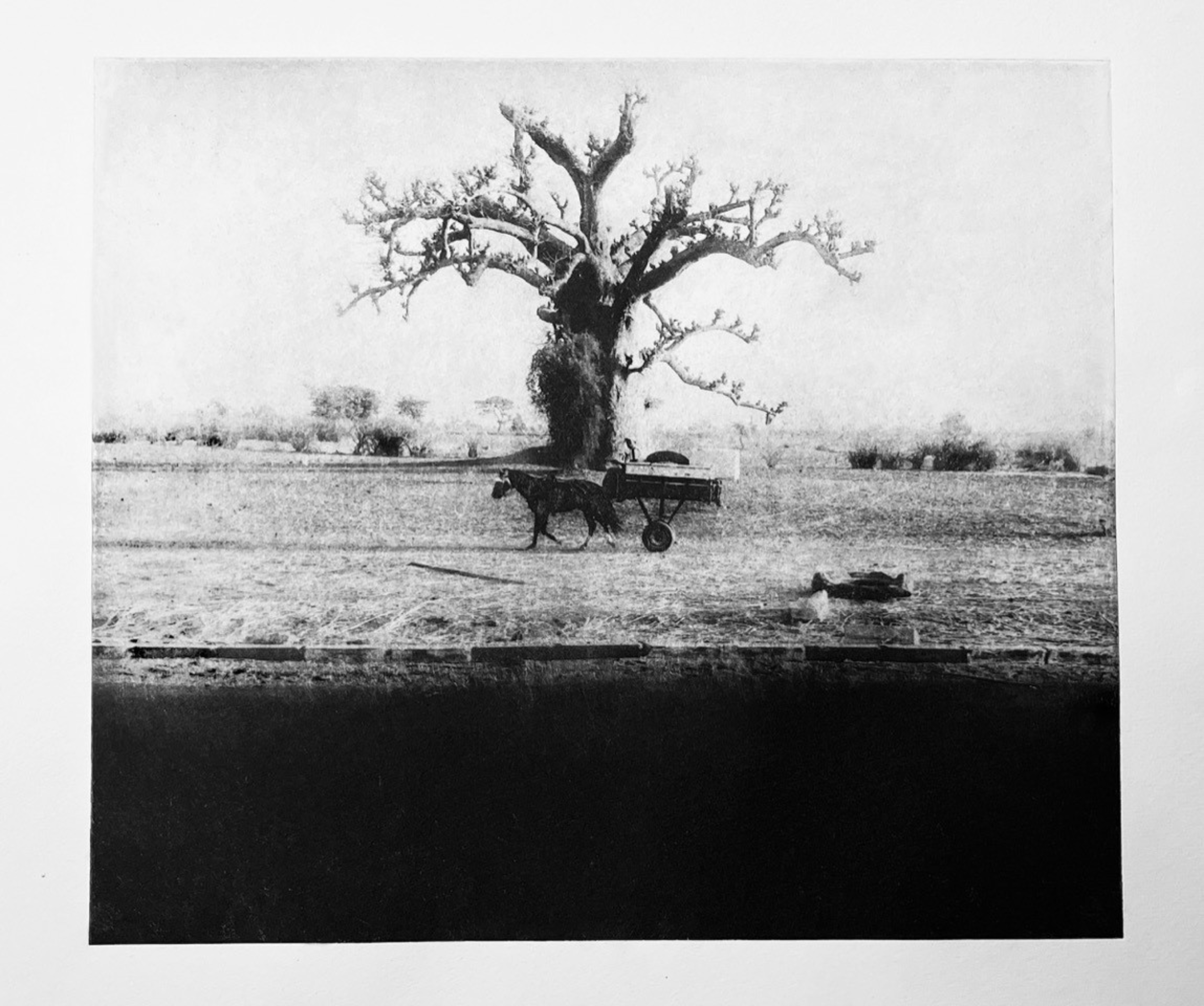 A barren tree stands in an open field with a donkey pulling a cart beside it, and a person lies on the ground near the scene.