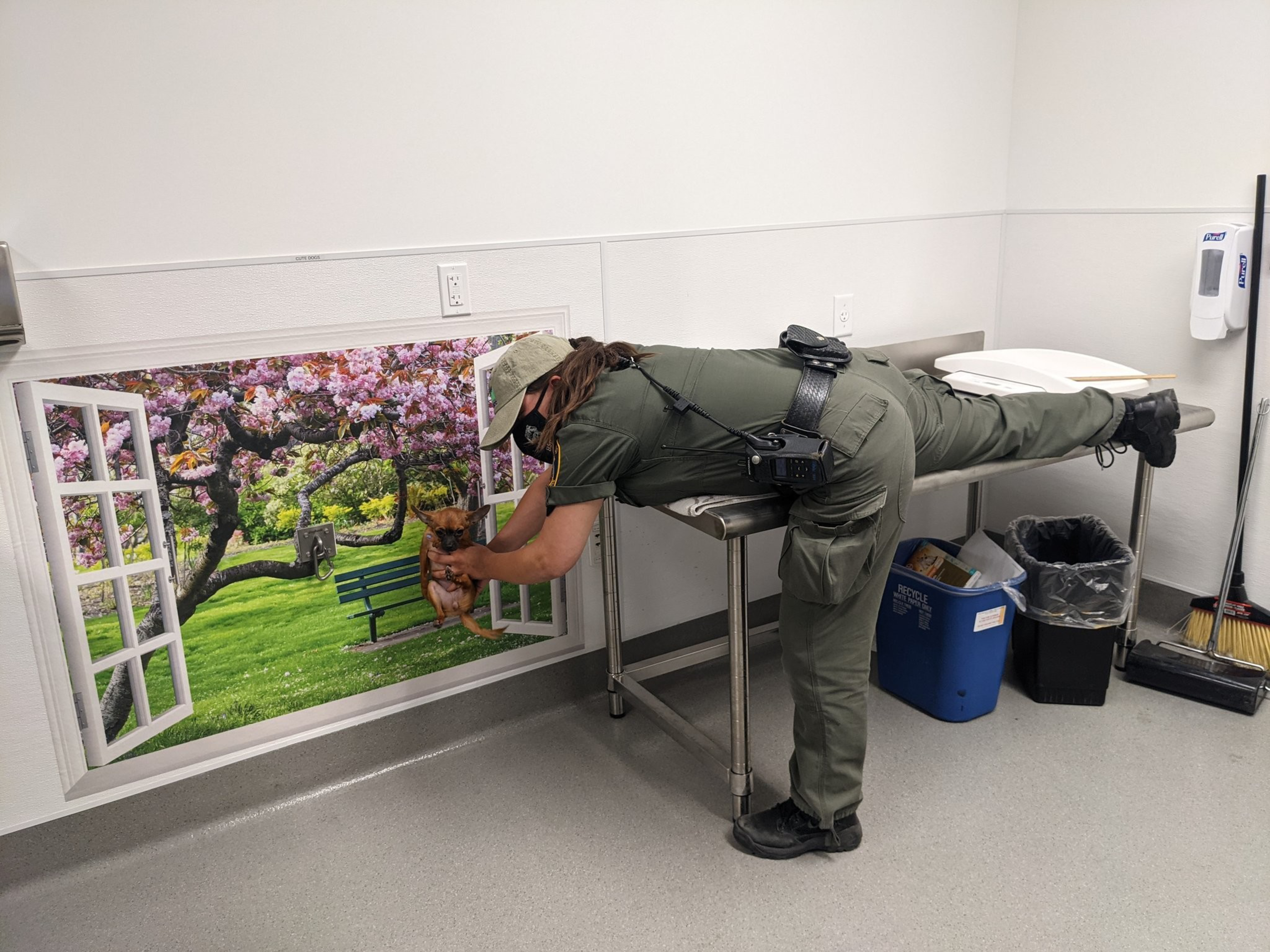 A person in uniform lies on a metal table, holding a small dog near a wall mural of an open window showing a garden with cherry blossoms and a bench.