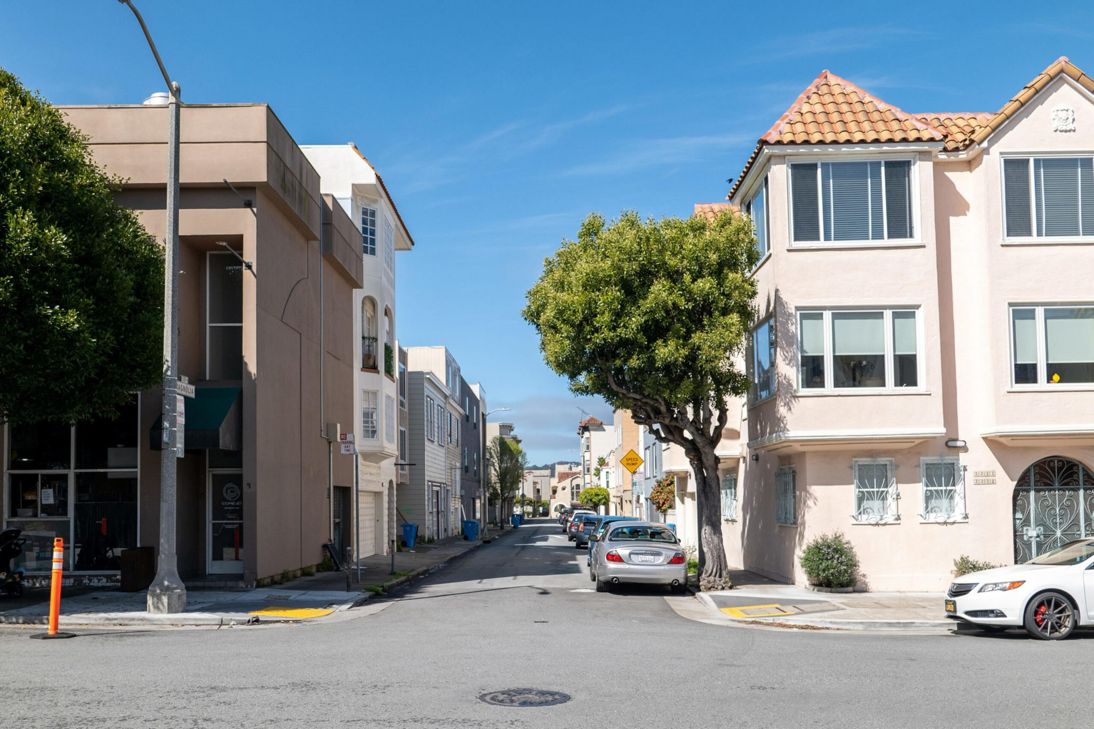 A sunny street flanked by multi-story buildings with parked cars and a tree.