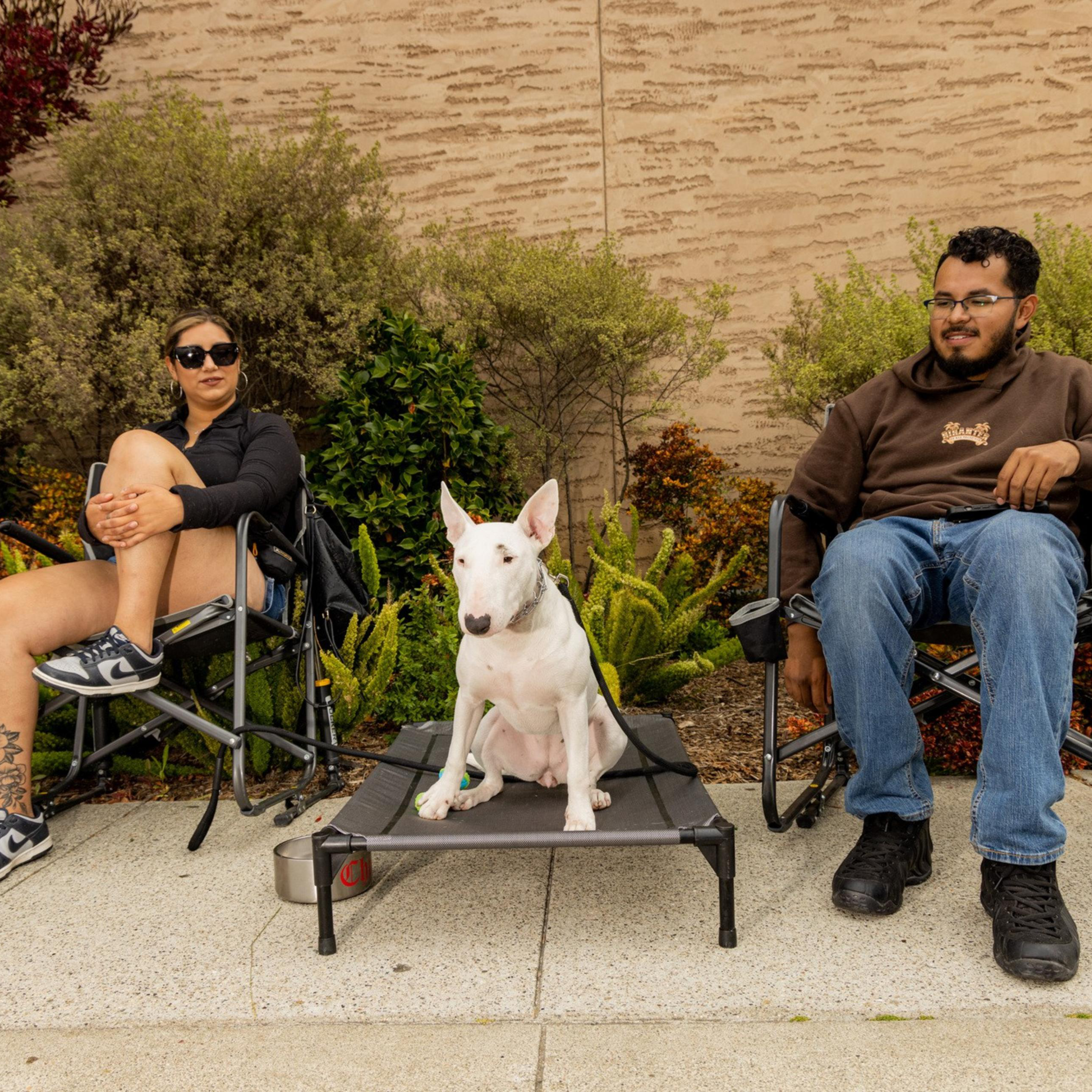 Two adults and a child sit near bushes, with a white dog on a raised bed between the adults. The adults are relaxed on chairs, and the child stands nearby.
