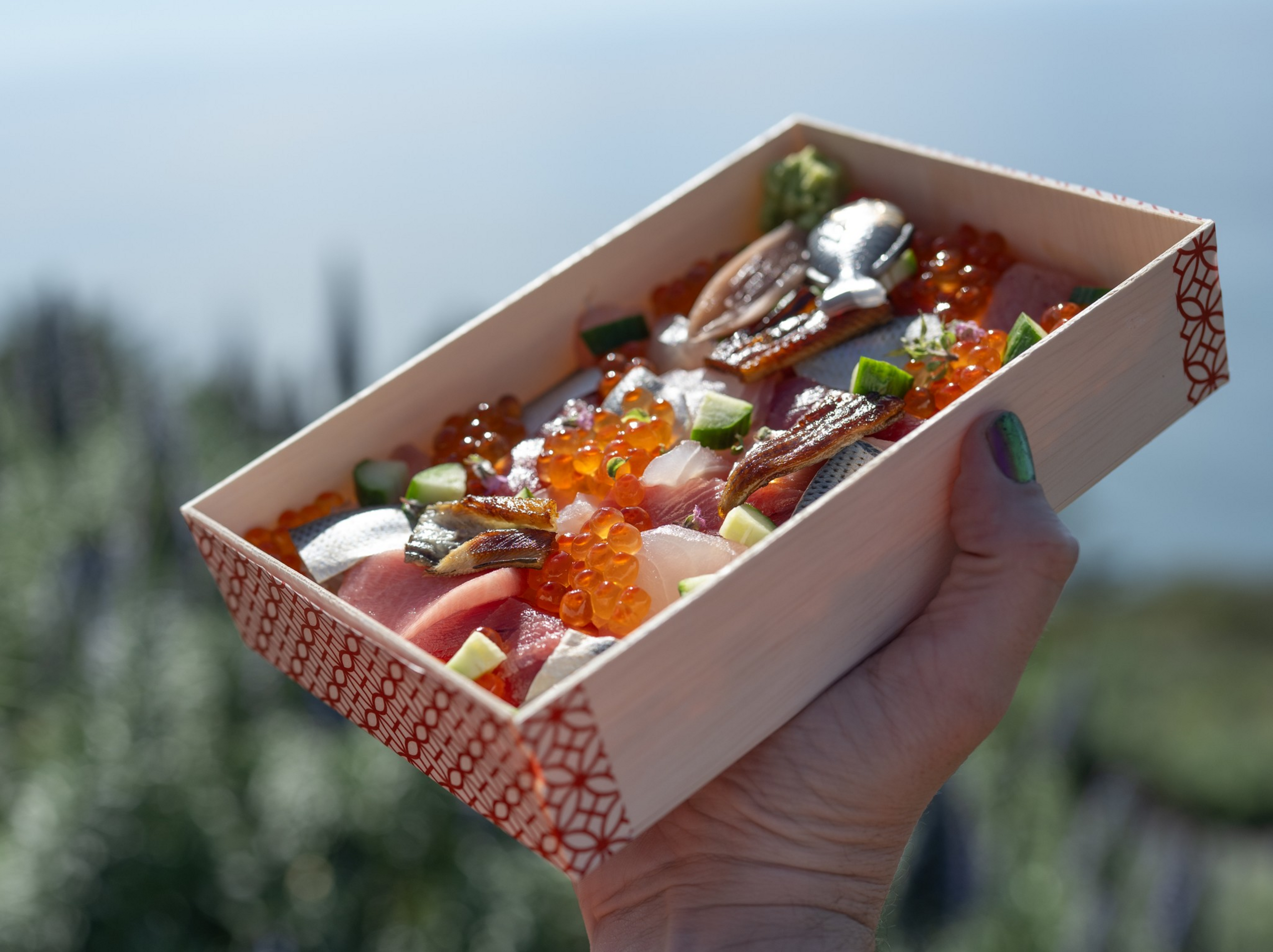 Sliced raw fish, salmon roe, small cucumber pieces, and garnishes are ...