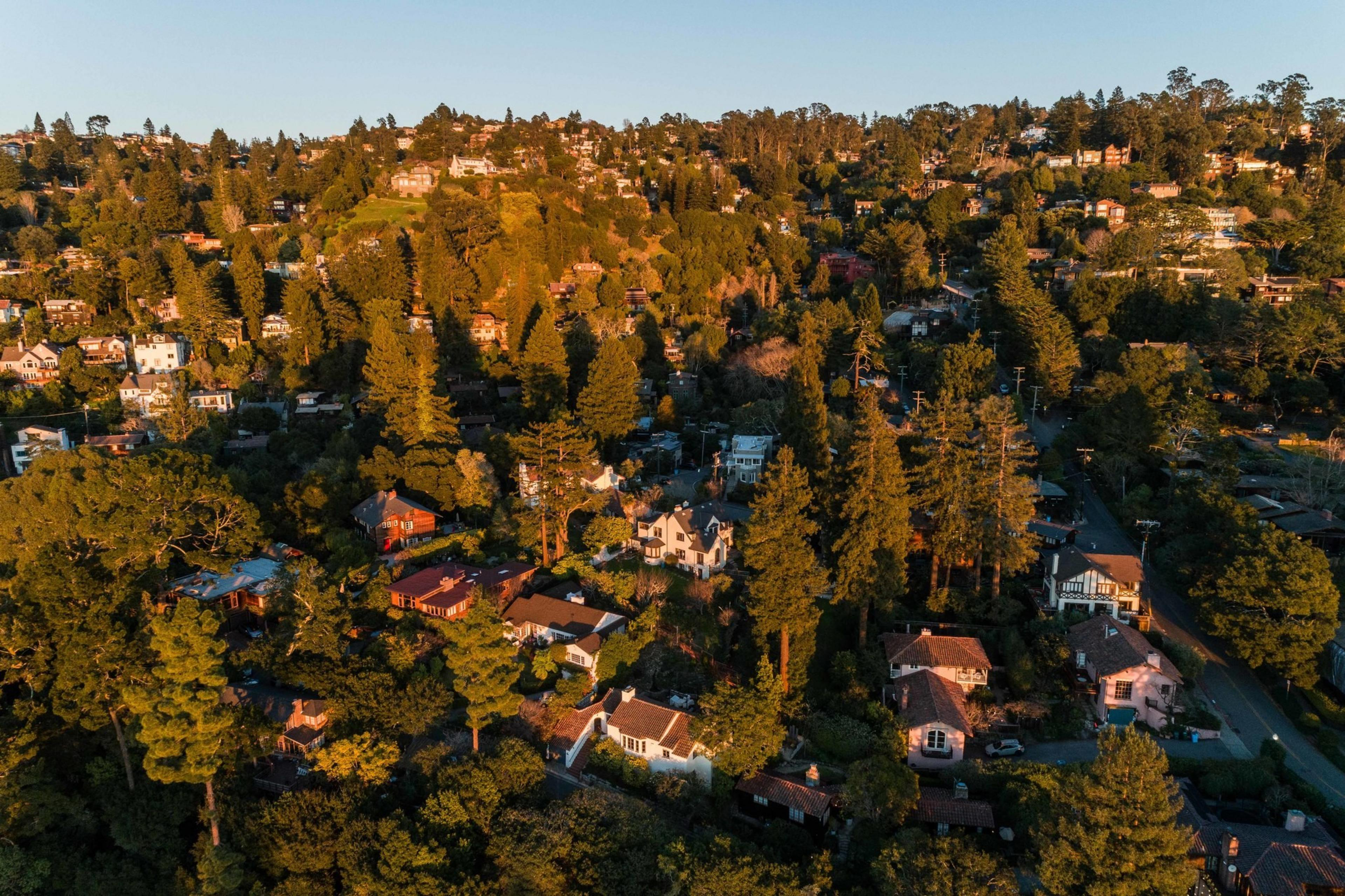 Aerial view of a hillside neighborhood with densely packed houses nestled among tall trees, bathed in warm sunlight, creating a serene, verdant setting.