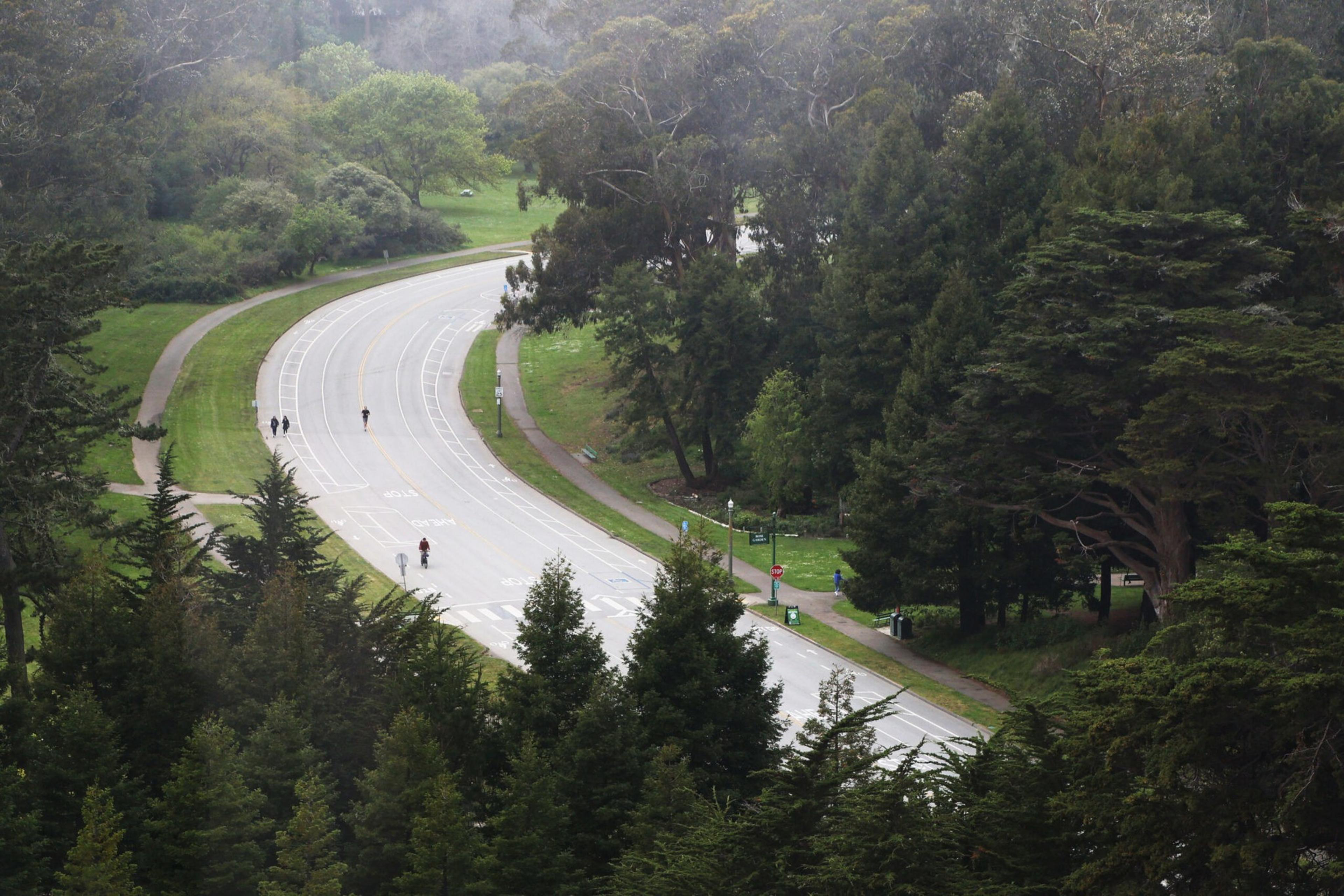 A curved bike and pedestrian path runs through a green park with tall trees and a few people walking or biking.