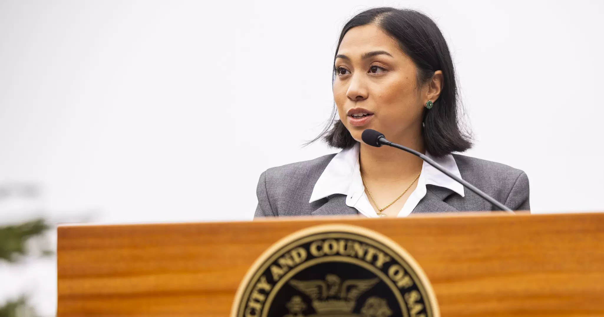 Sunset Supervisor Isabella Alcaraz to resign after scandals over pet store, finances