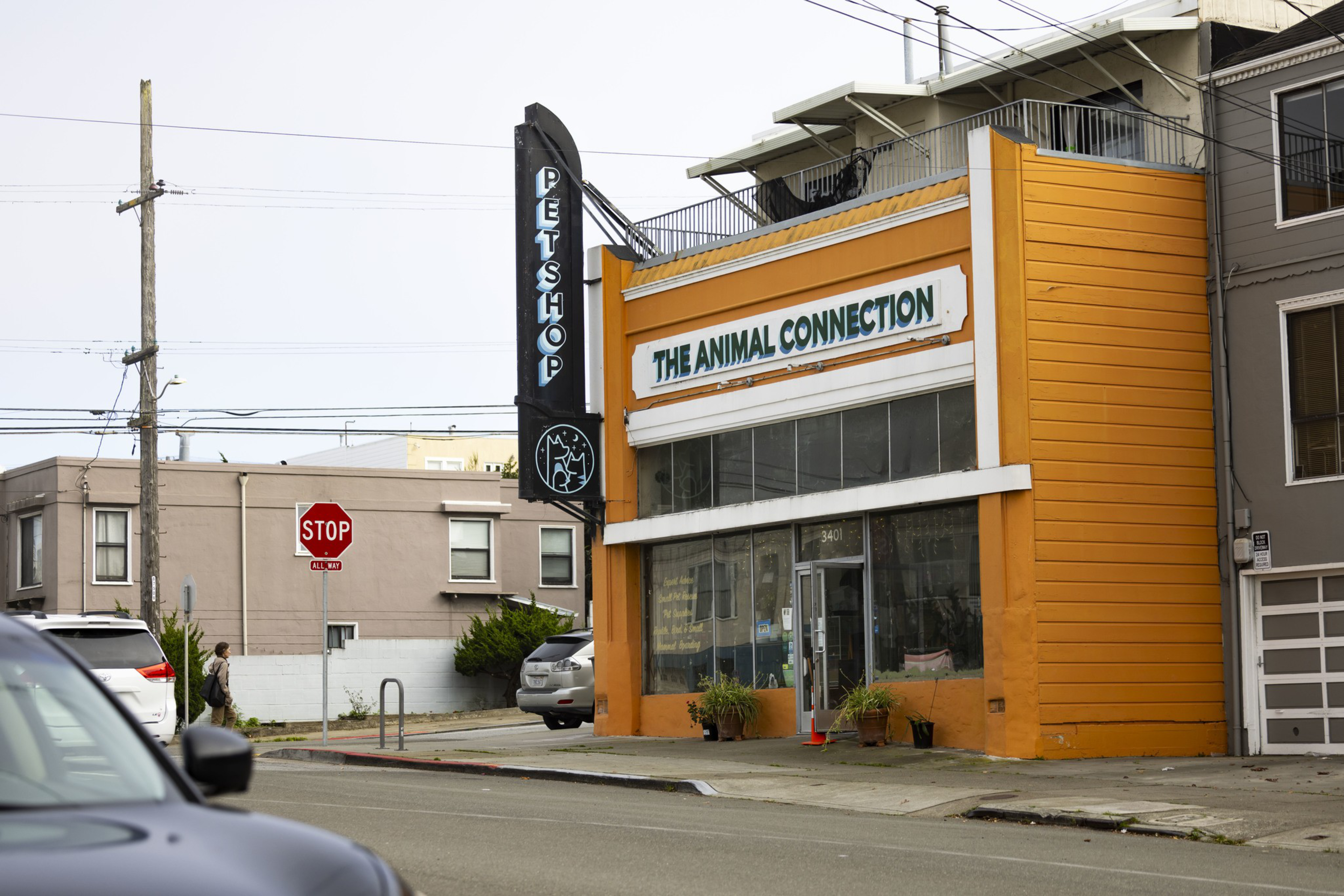 An orange pet shop called “The Animal Connection” with a vertical “Pet Shop” sign and a stop sign nearby on a quiet street corner.
