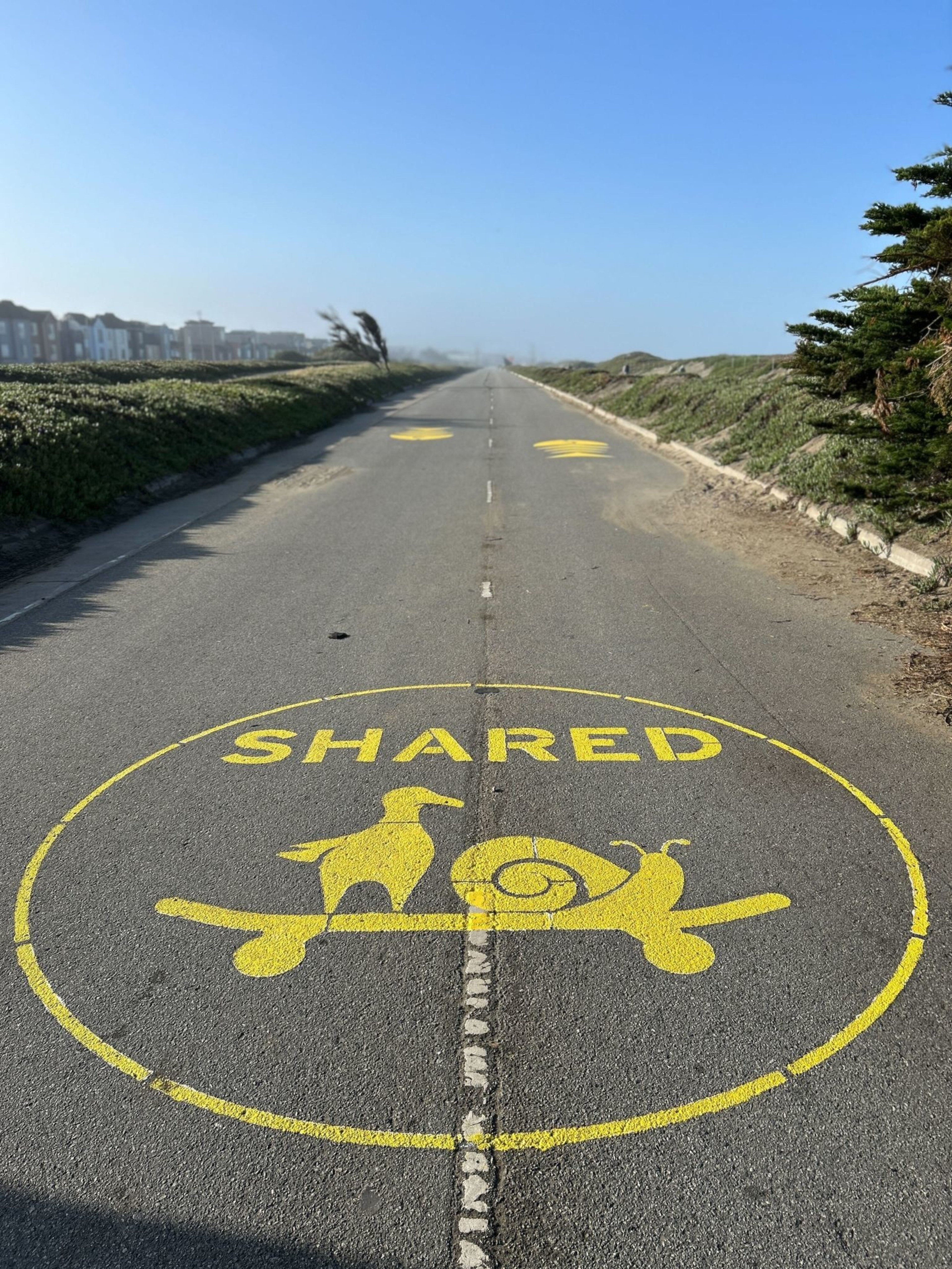 A road with a yellow circular symbol showing a bird and a snail on a skateboard, marked &quot;SHARED.&quot; It has grassy sides, buildings on the left, and trees on the right.
