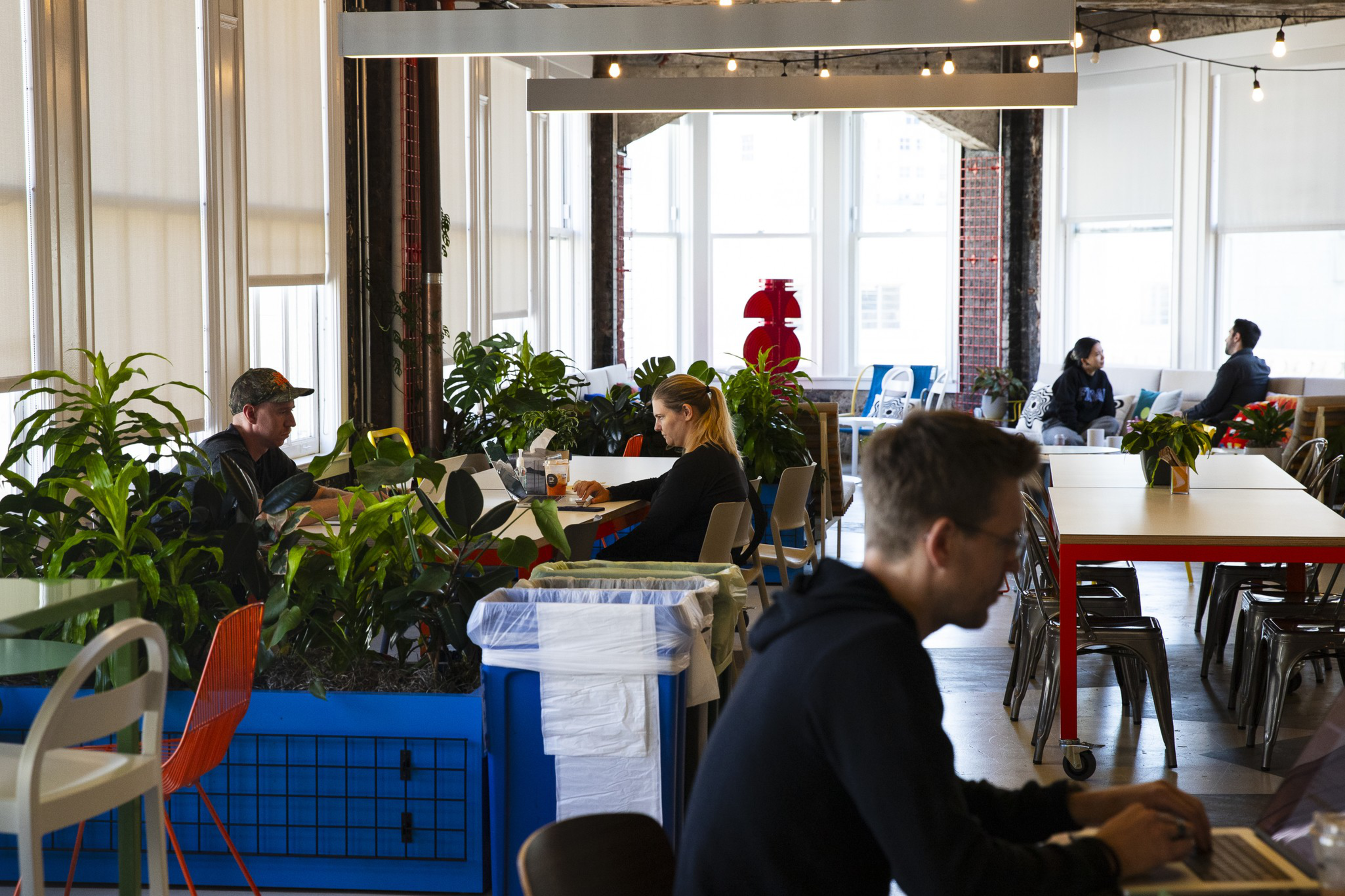 People are working on laptops at tables in a bright, modern workspace filled with plants and natural light from large windows.