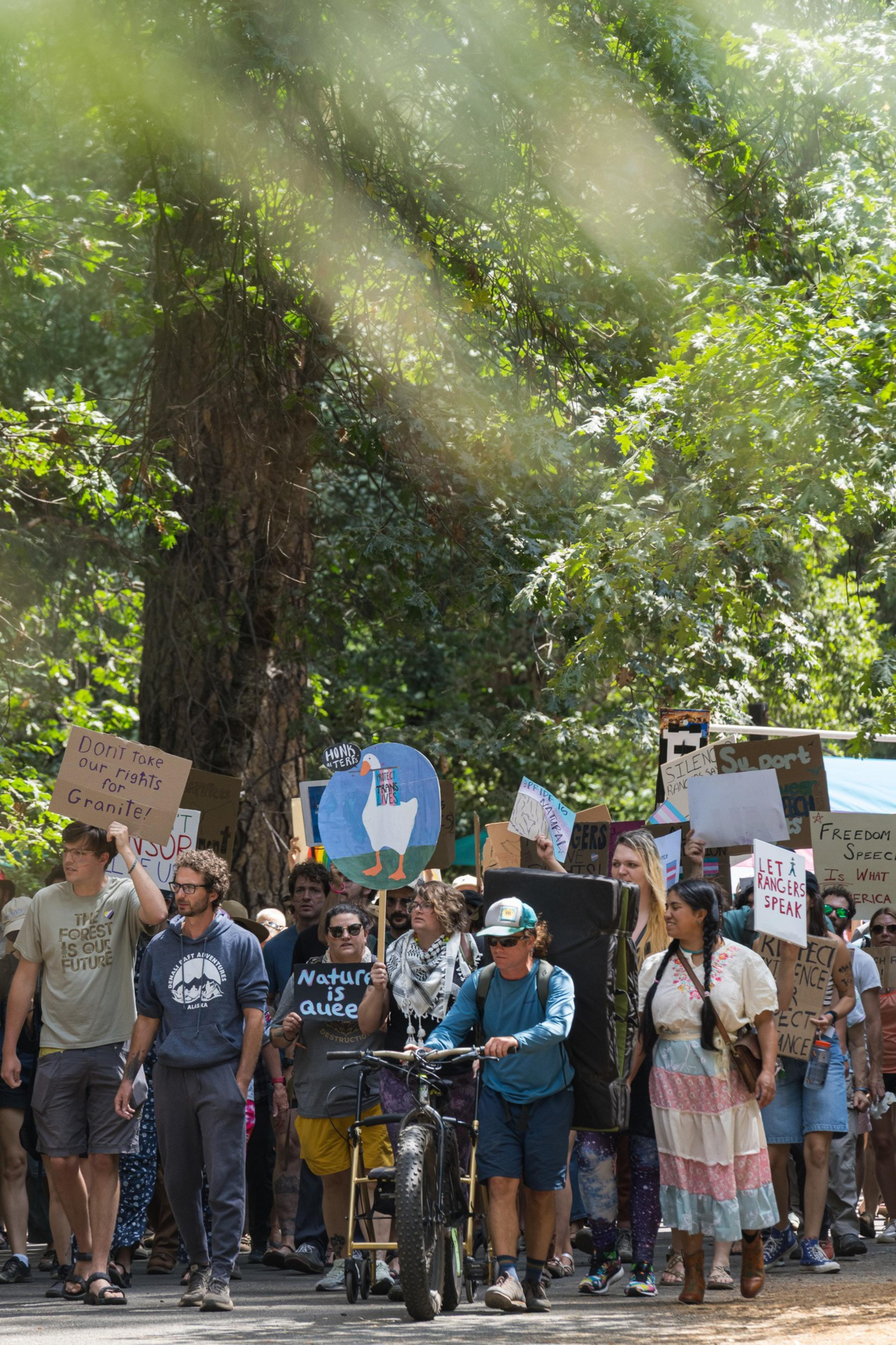 A diverse group of people march through a sunlit forest holding signs advocating for environmental rights and free speech.