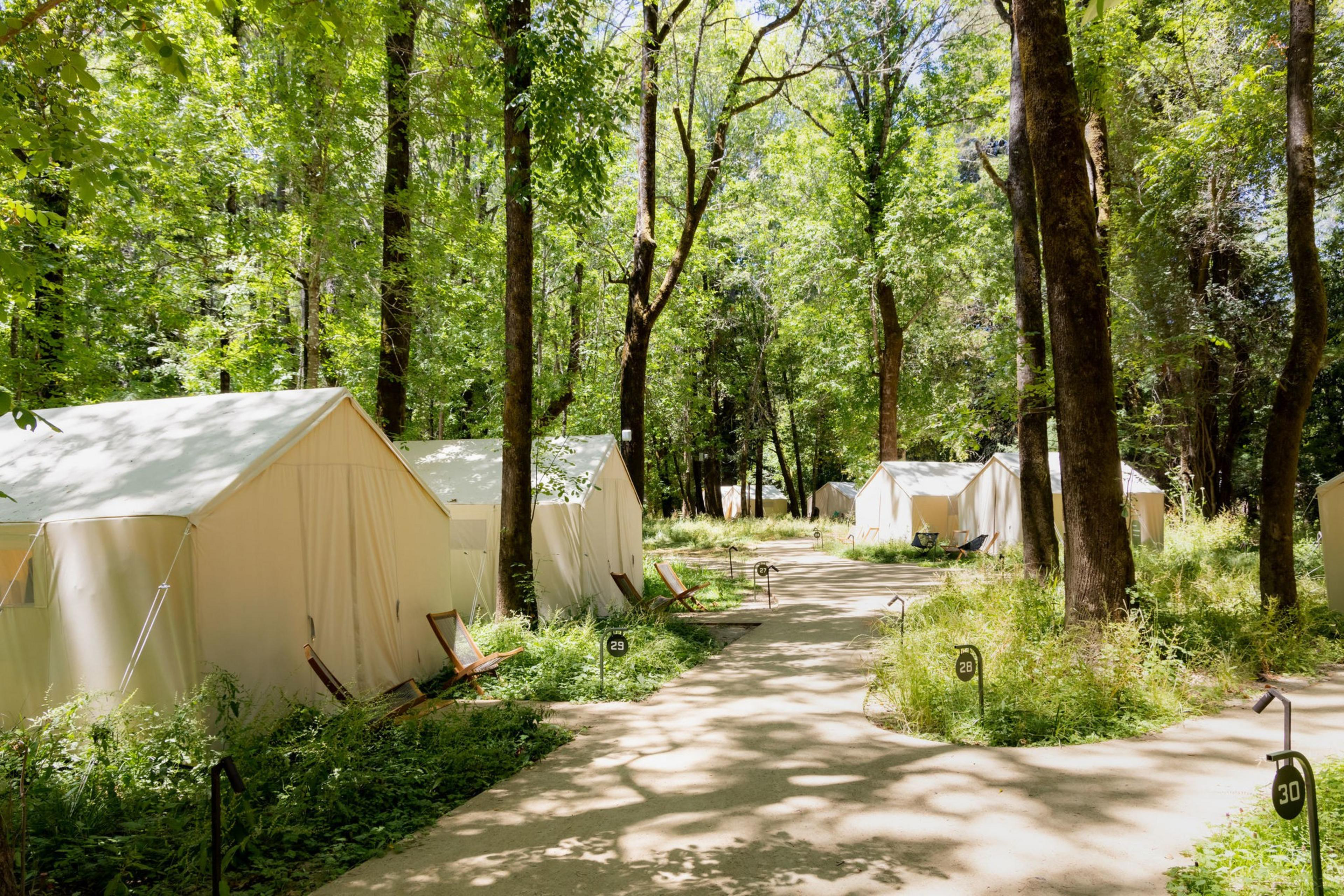 Glamping tents 